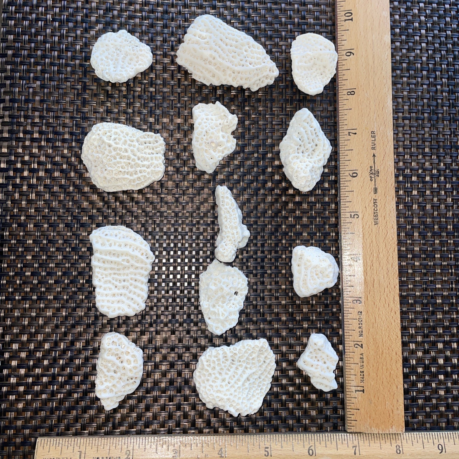 Bulk Lot Florida Sea Dry Coral aquarium decoration. Ocean souvenir