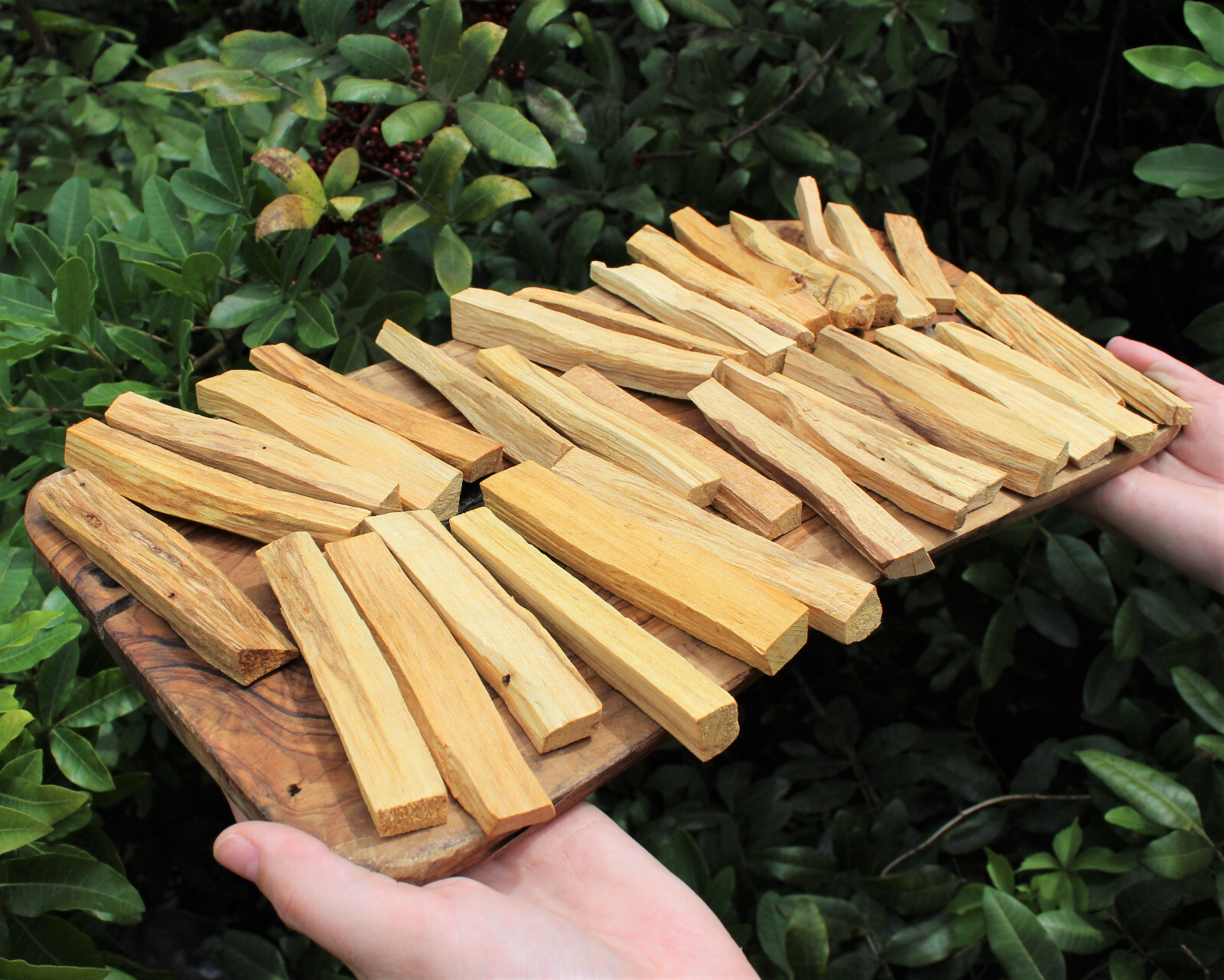 4 White Sage Smudge Sticks + 4 Palo Santo Wood Sticks – House Cleansing Bundle