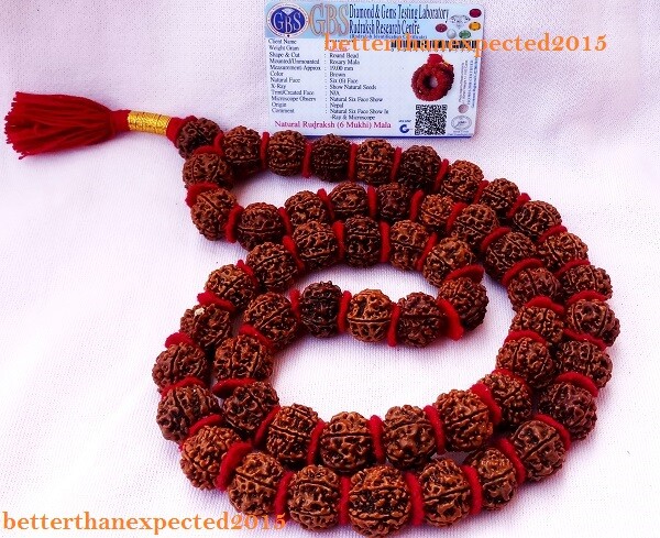 6 Mukhi Rudraksha Mala / Six Face Rudraksh Kantha 18-20 MM -Nepal -54 beads ~Lab