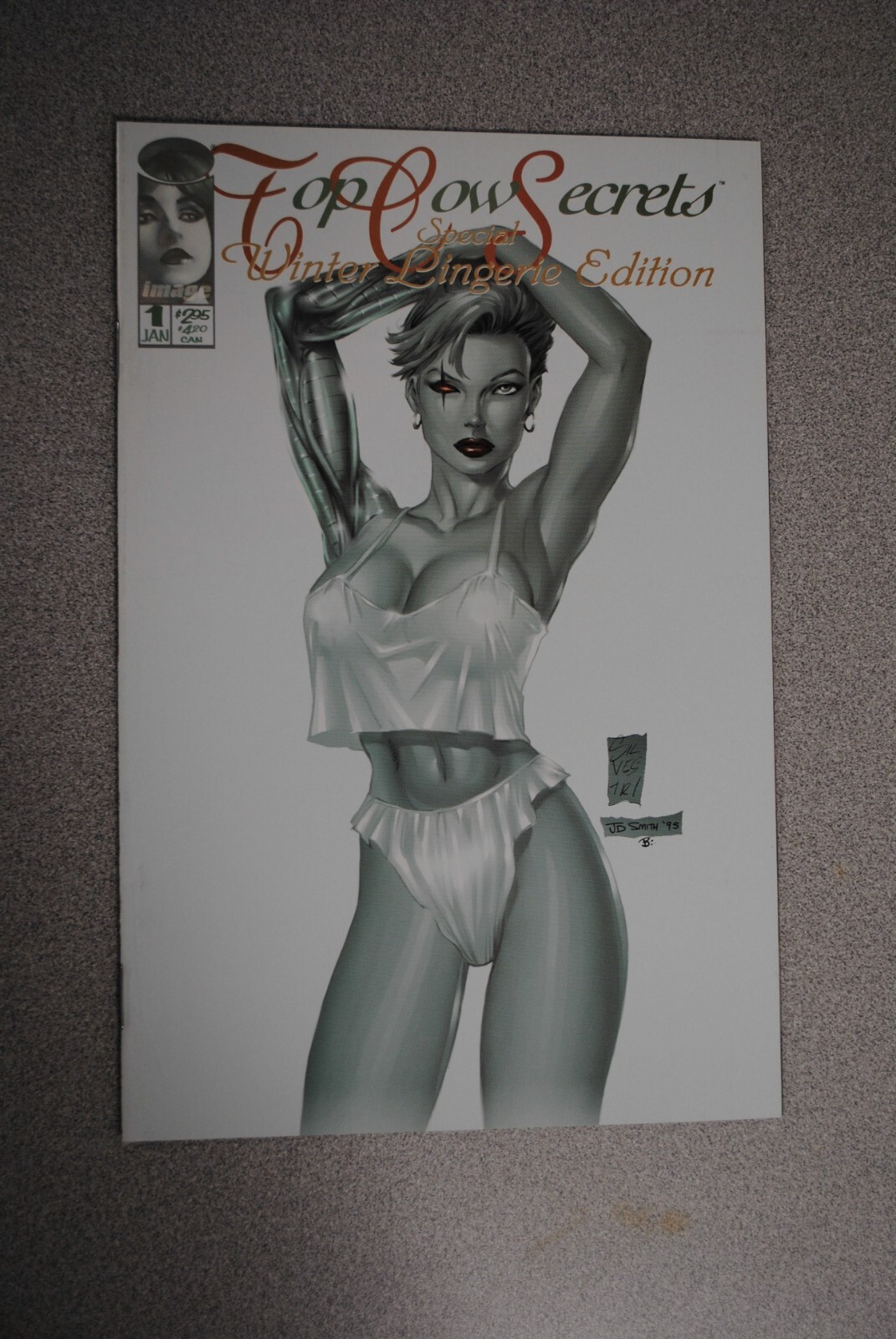 Top Cow Secrets Special Winter Lingerie Edition #1 1996. Never Read
