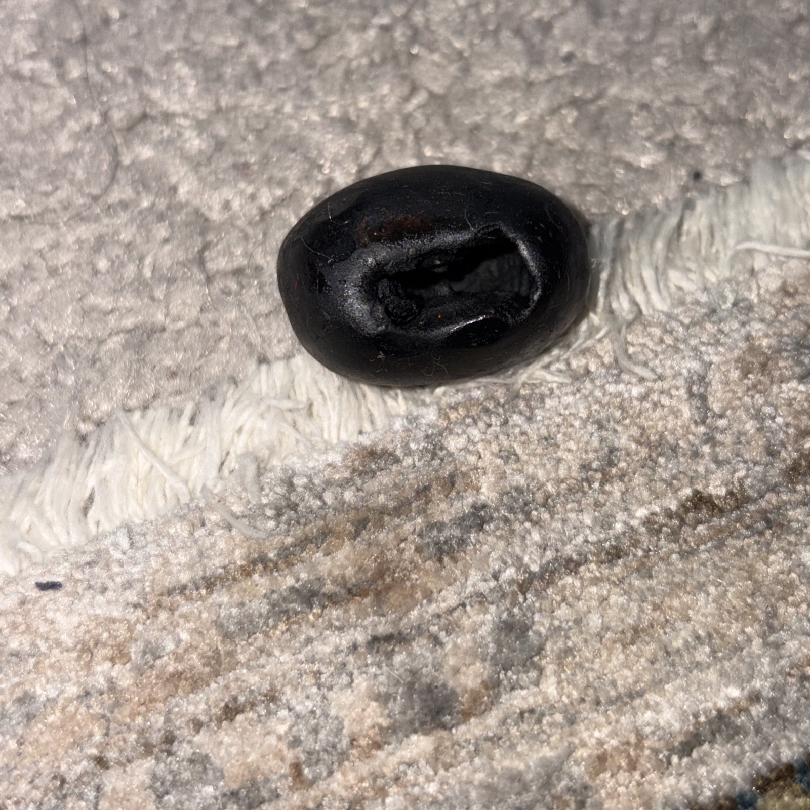 shaligram stone Natural Origi