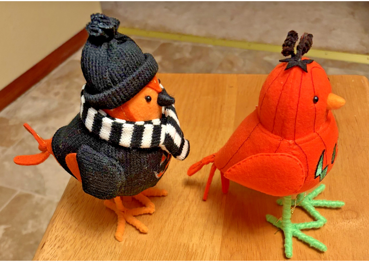 Target Hyde & EEK! Boutique Jackson & Flicker Halloween Featherly Birds 2026 NWT