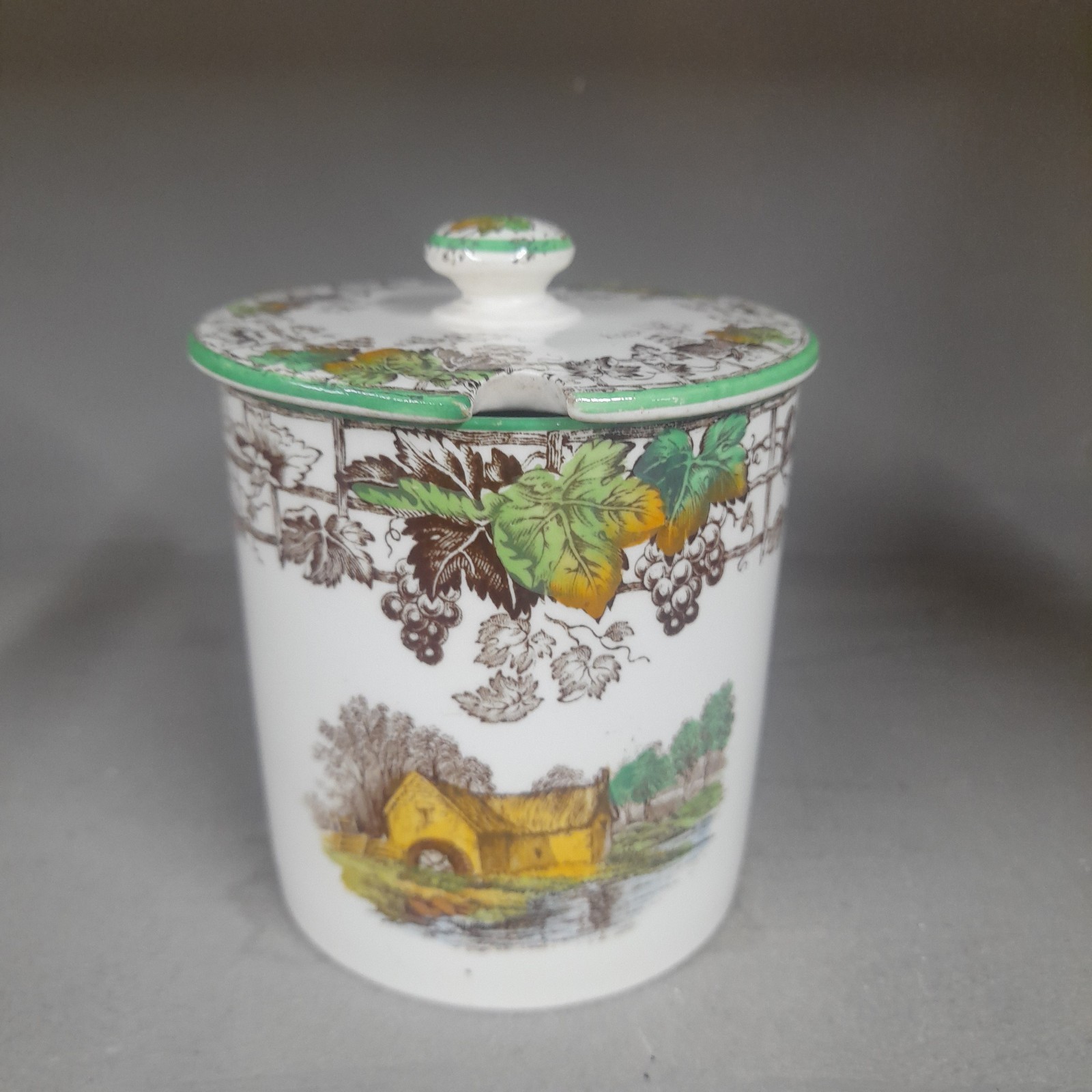 Copeland Spode Byron Preserve/ Jam Pot. Rare Vintage VGC