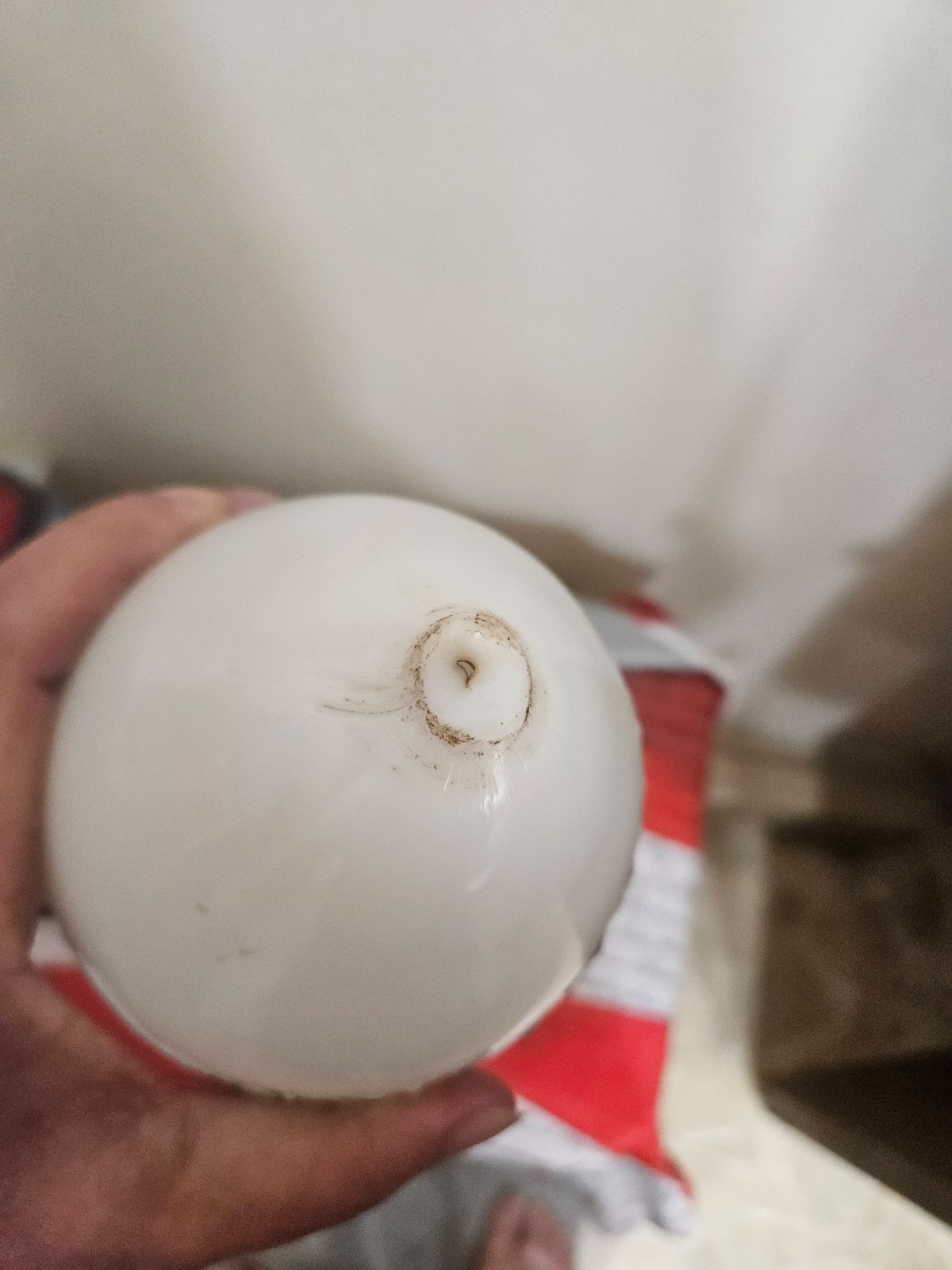 Large Victorian Milk Glass Easter Egg