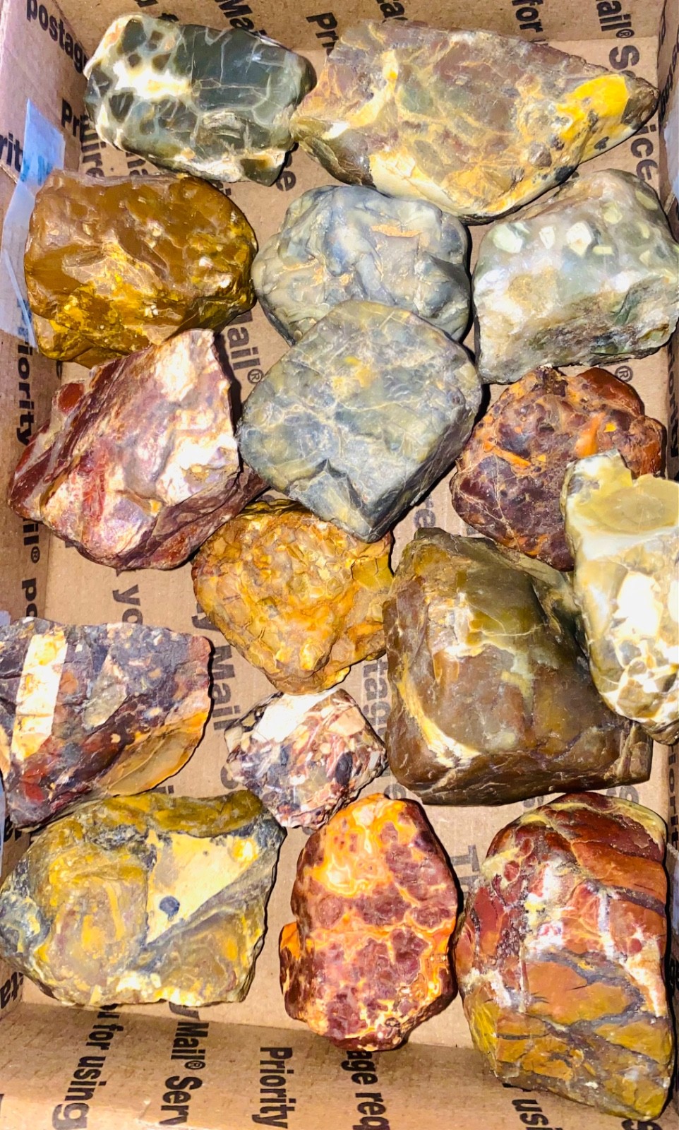 2.5 POUNDS of TUMBLING ROUGH Agate Petwood Barfstone Jasper Chert FREE SHIPPING