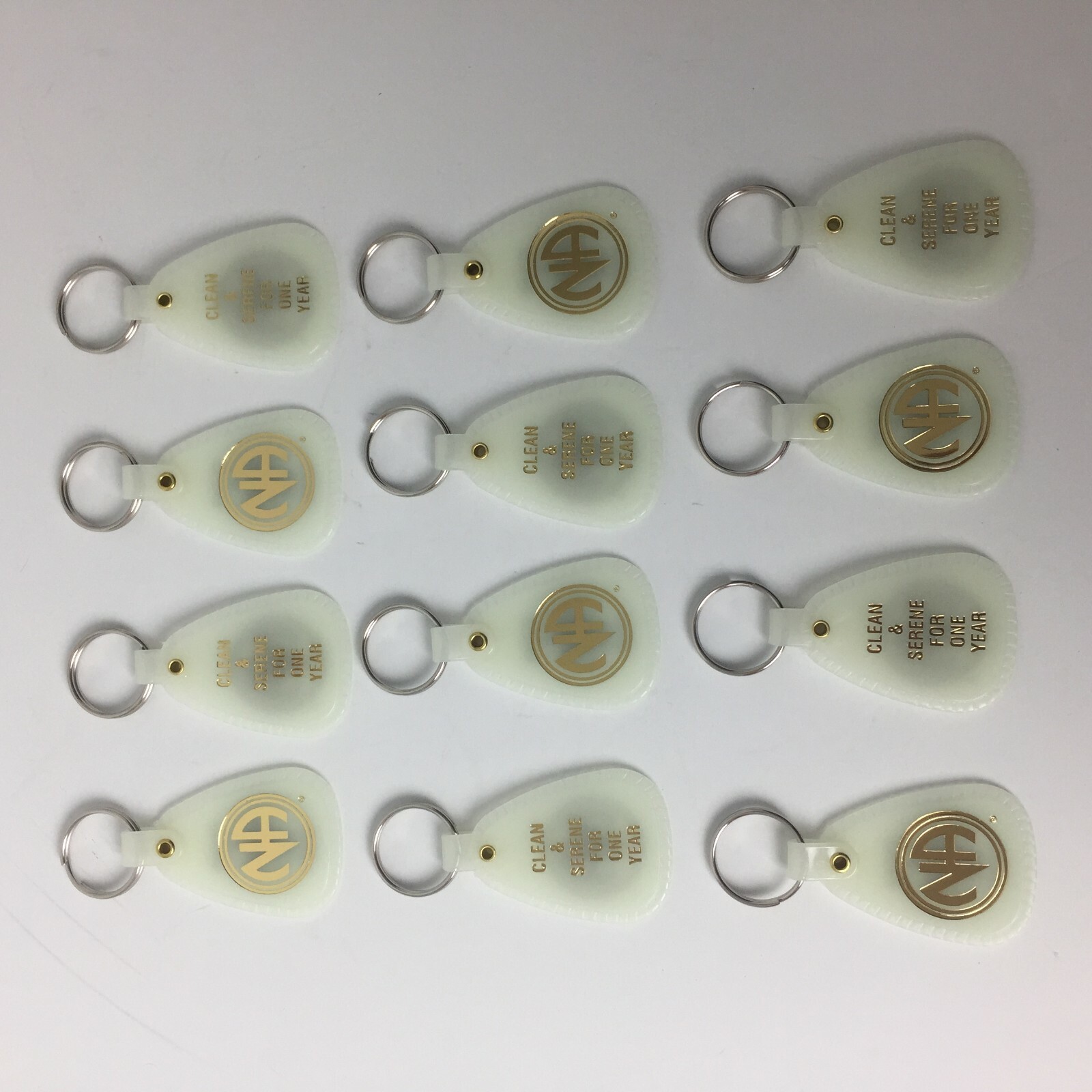 NARCOTICS ANONYMOUS NA KEY TAG MOONGLOW 1 Year Recovery 12 Piece English