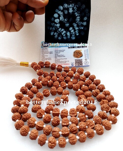 GANESH GANESHA RUDRAKSHA OM KANTHA GANPATI TRUNK SIDDHA MALA~12mm~JAVA~109- LAB