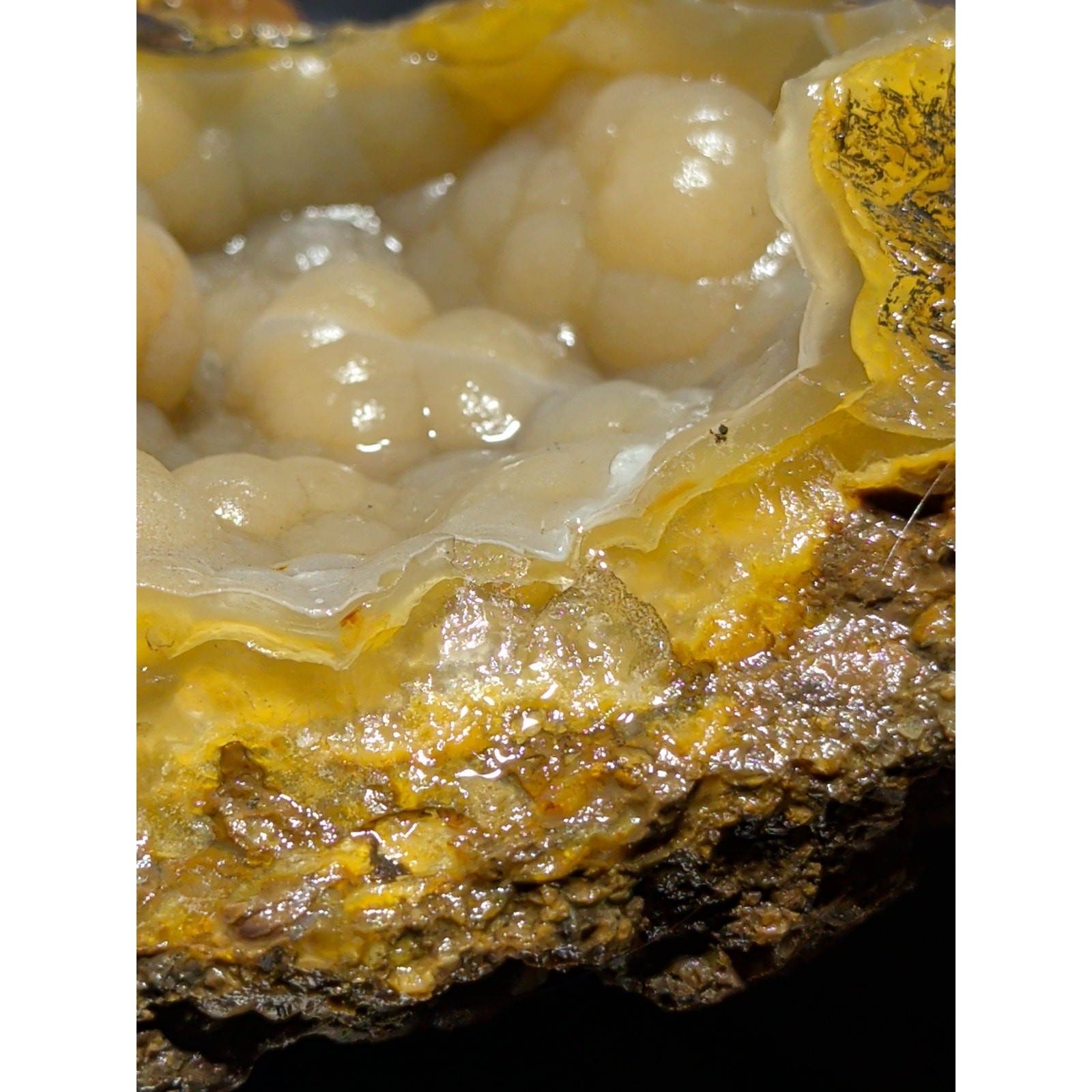 Thunder Egg Yellow Botryoidal Specimen Natural Form (1lb 10oz)