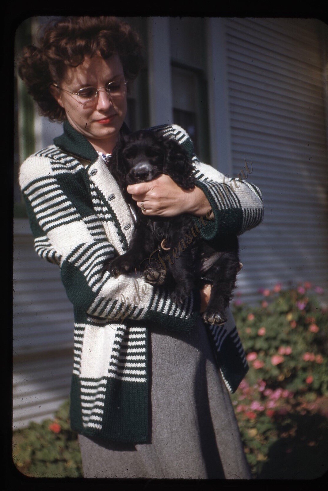 Woman Glasses Holding Black Dog 1940s 35mm Slide Red Border Kodachrome Fashion