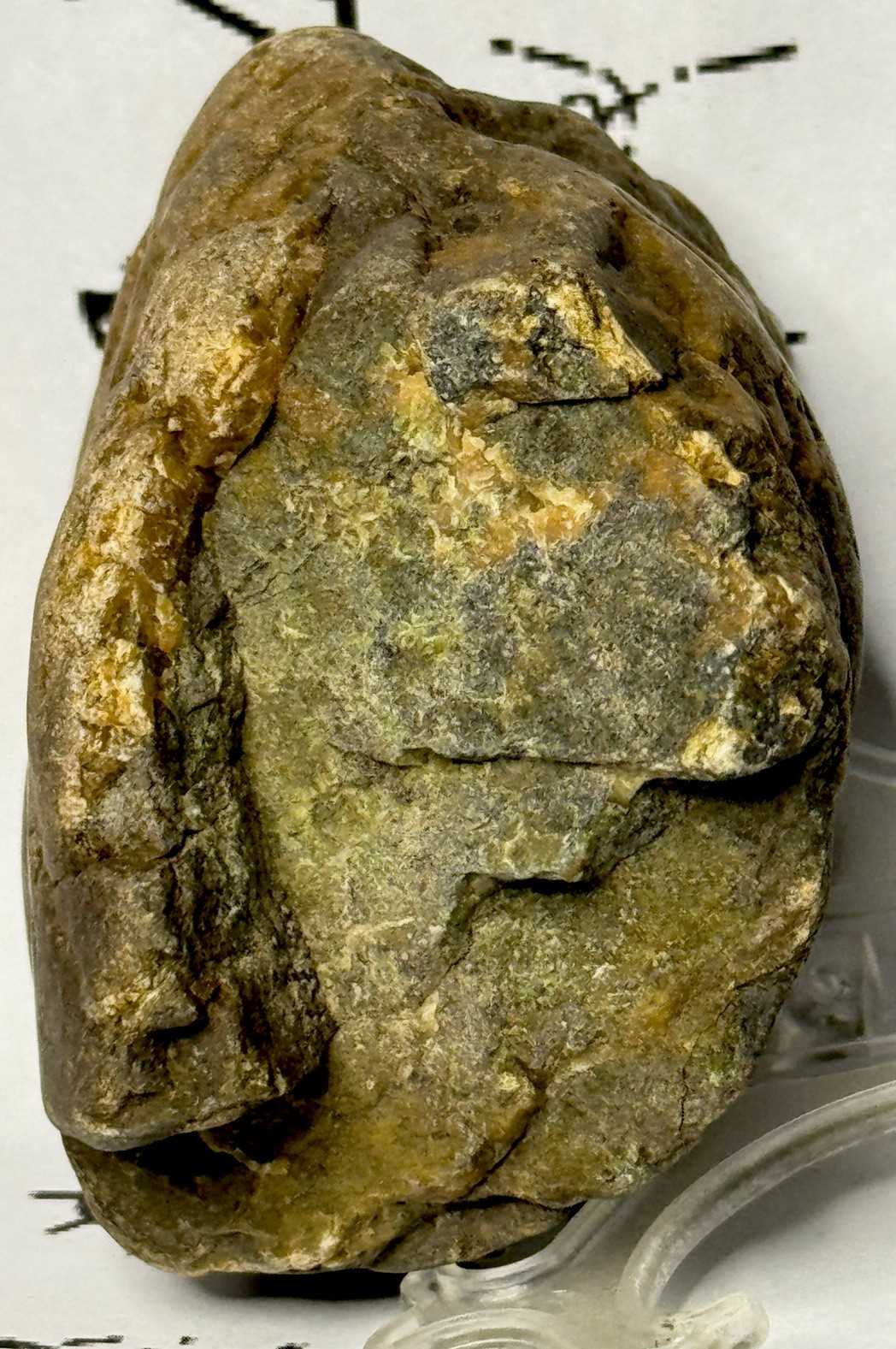 Native American Indian Authentic Stone Effigy Carved Stone , 9.5 oz • VA
