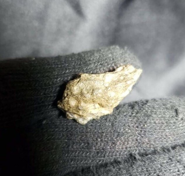 NWA 11704 HED Eucrite Polymict Meteorite 6.9 gram Individual Africa