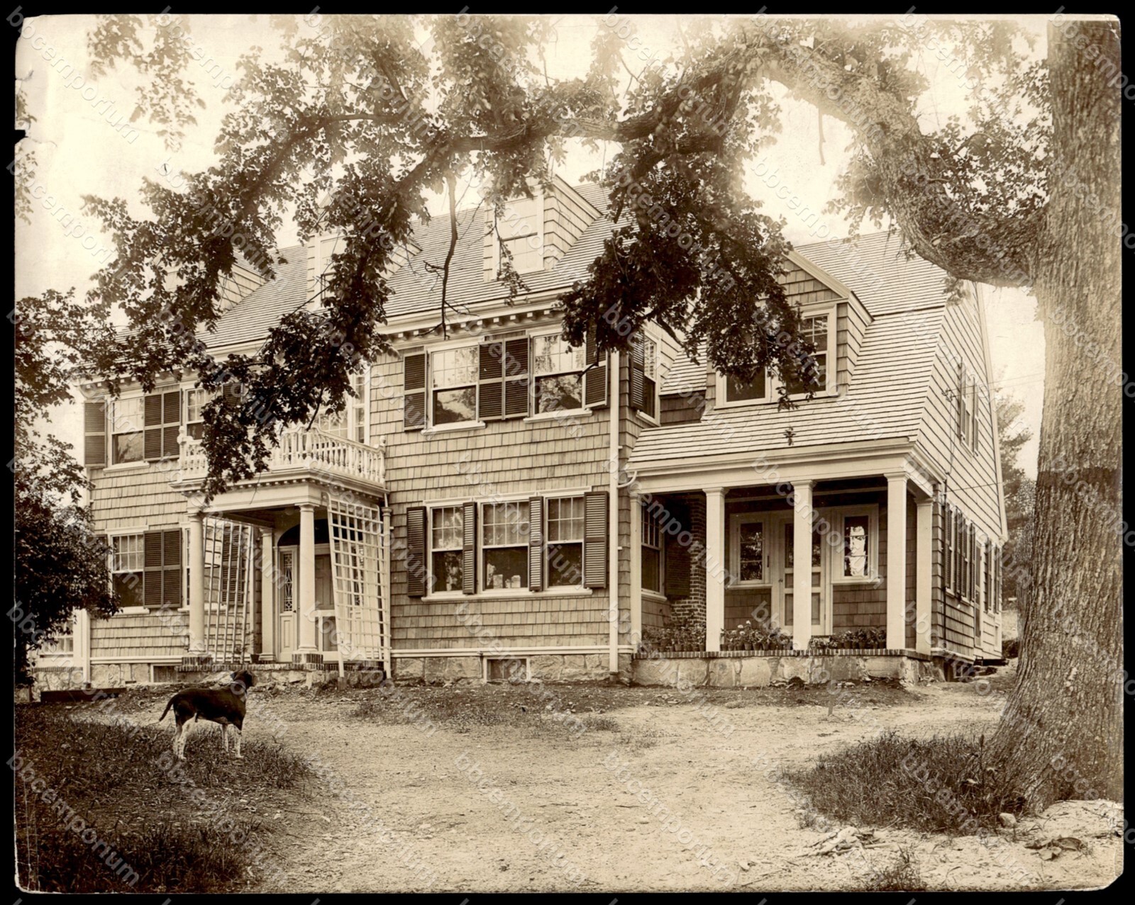 Large vintage Lichfield home 7.5″ x 9.5″ Brown Brothers Type 1 Photograph B5
