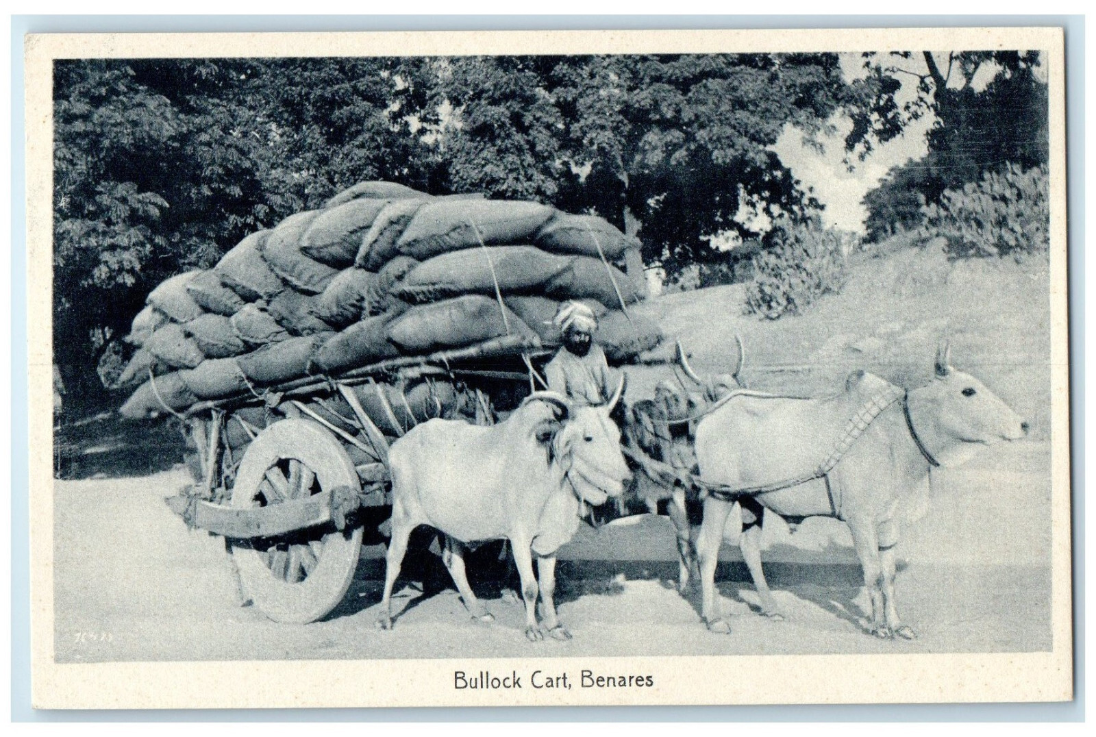 c1930’s Bullock Cart Carrying Sack Varanasi Uttar Pradesh India Postcard