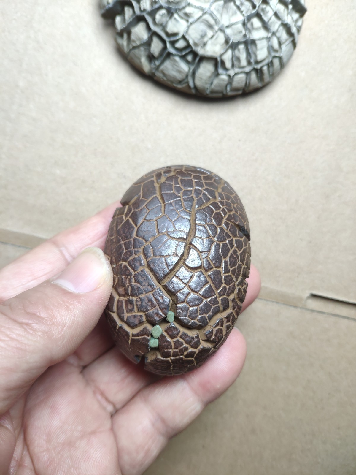 182g beautiful tortoise back pattern stone Turtle grain stone Landscape stone