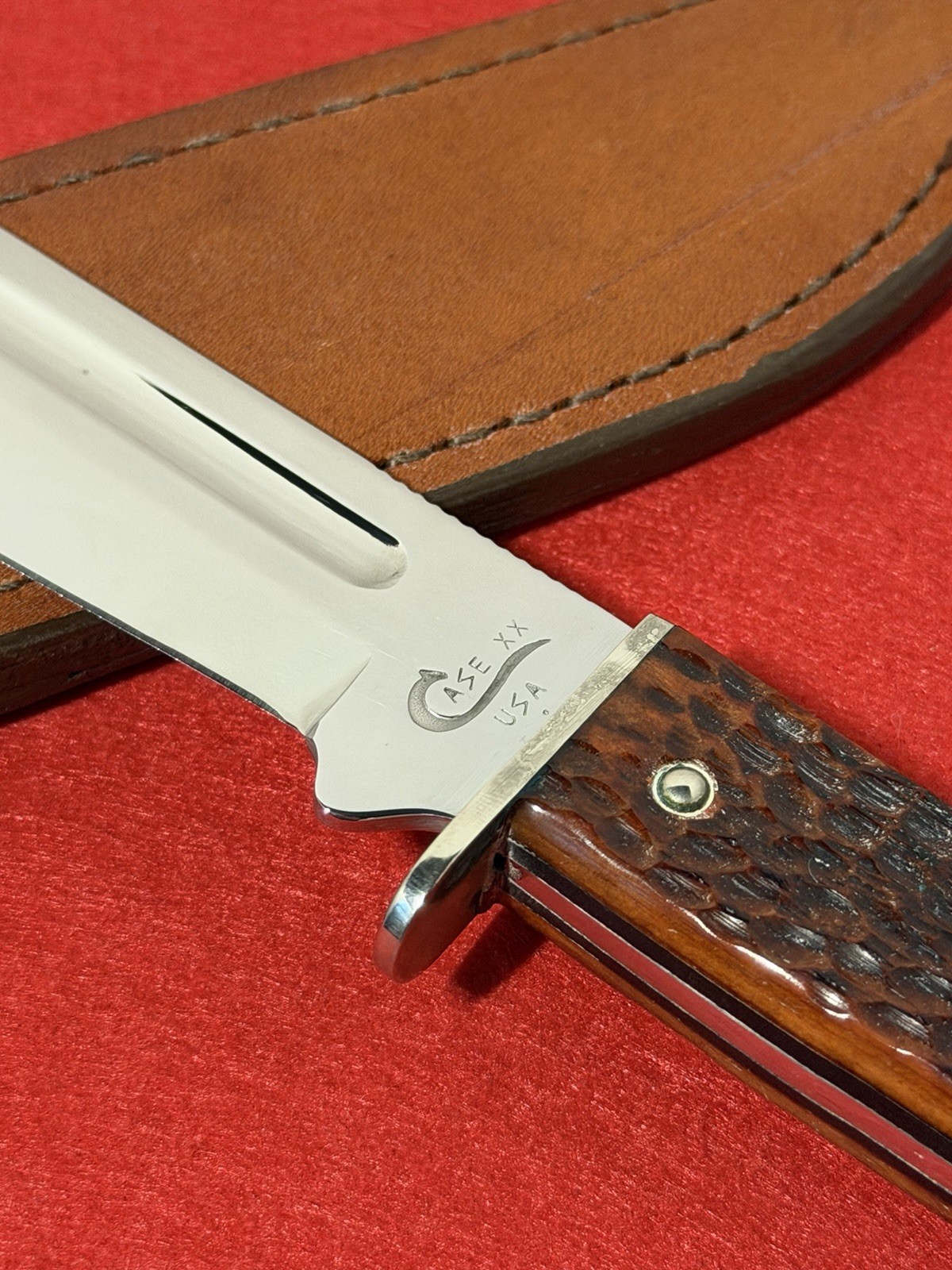 Case XX Slab Side Hunter Large Version 647-5 Chestnut Bone W/ Box Nice