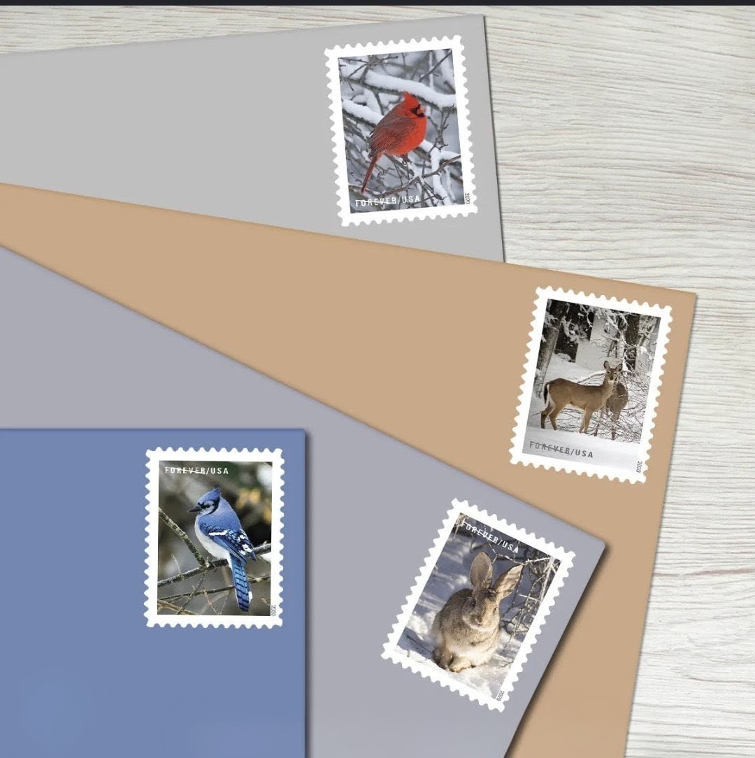 2020 Winter Scenes Forever USA Stamp Booklet, Multicolor