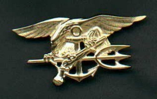 Genuine US Navy SEAL Badge in Gold Trident US made Genuine Current Issue