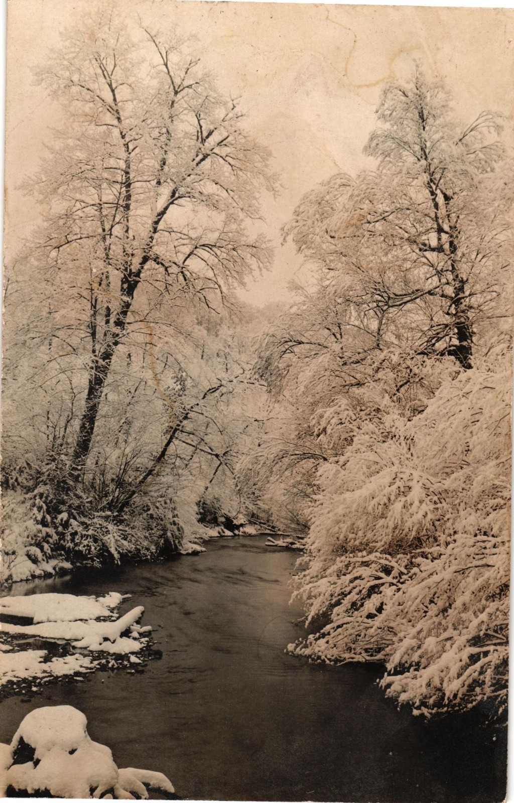 Antique Winter Landscape Photograph Postcard Sepia River Trees Snow Rustic