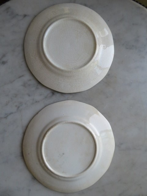 2 Old Vintage WHITE STAINED CRAZED PLATES Blue Birds Pink Flowers BEAUTIFUL!