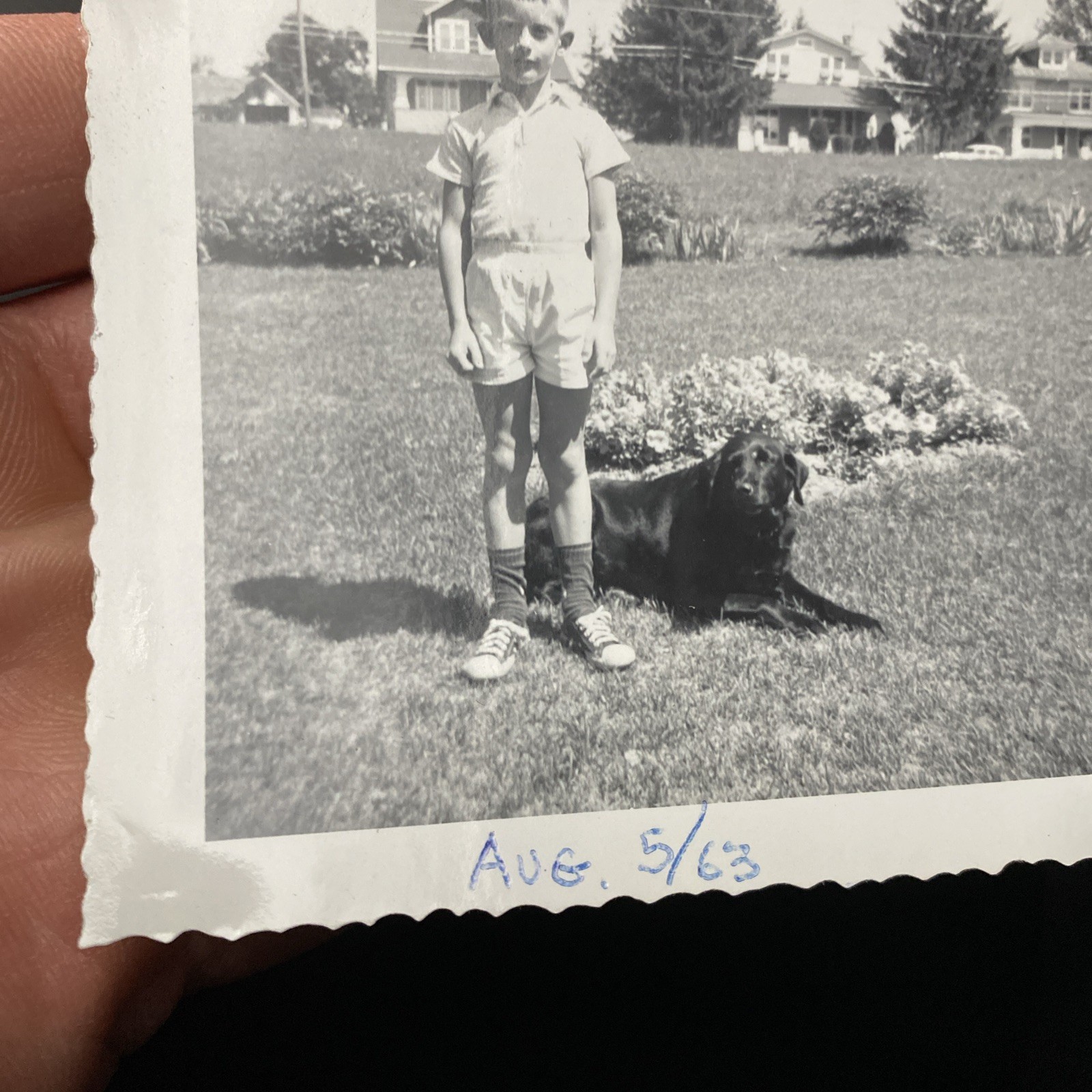 1963 Young Boy & Black Labrador Retriever Dog Flower Homes Original Photo P18m13