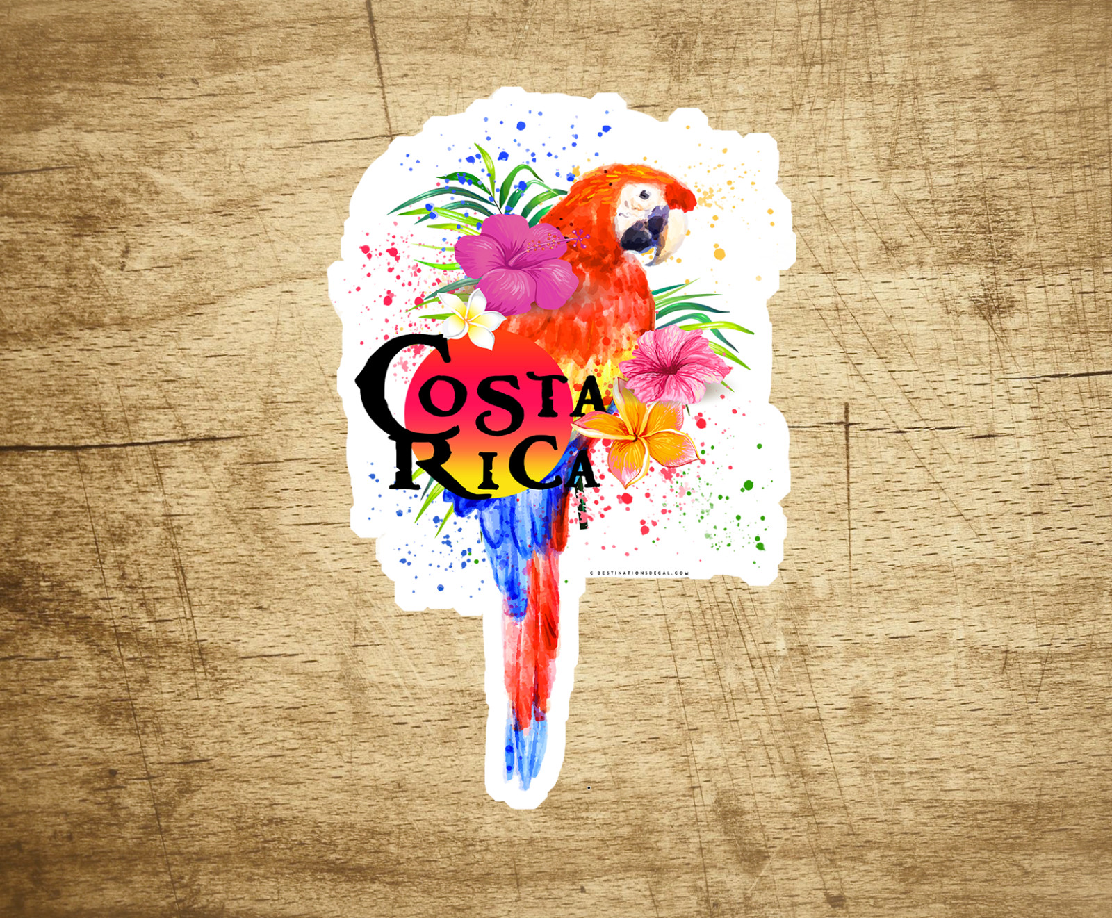 Costa Rica Parrot Sticker Decal Vinyl Indoor Outdoor Tropical 3 3/4″ x 2.5″