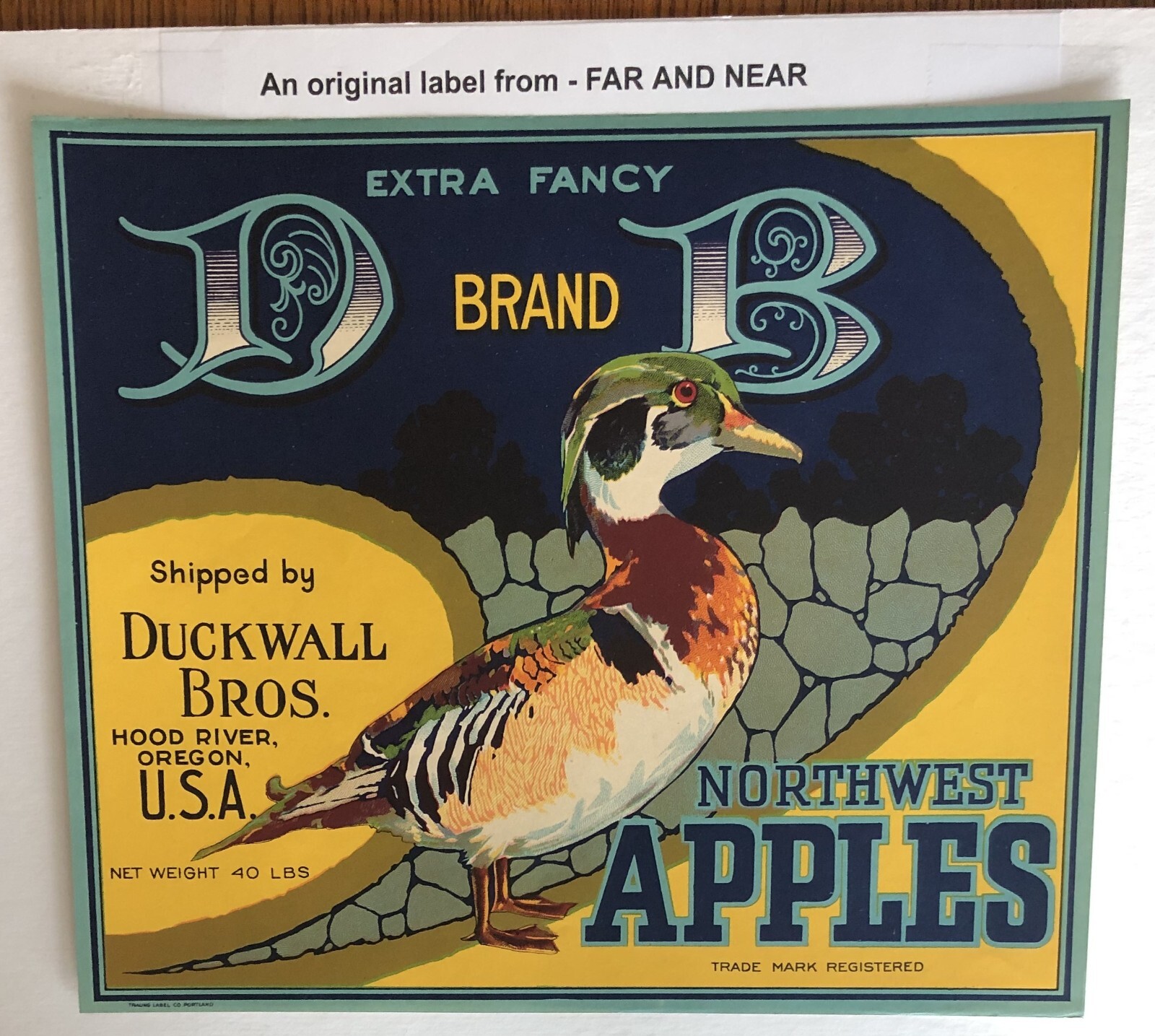 D B Brand Apple Crate Label – Blue – Early Oregon – Traung – Pre 1930