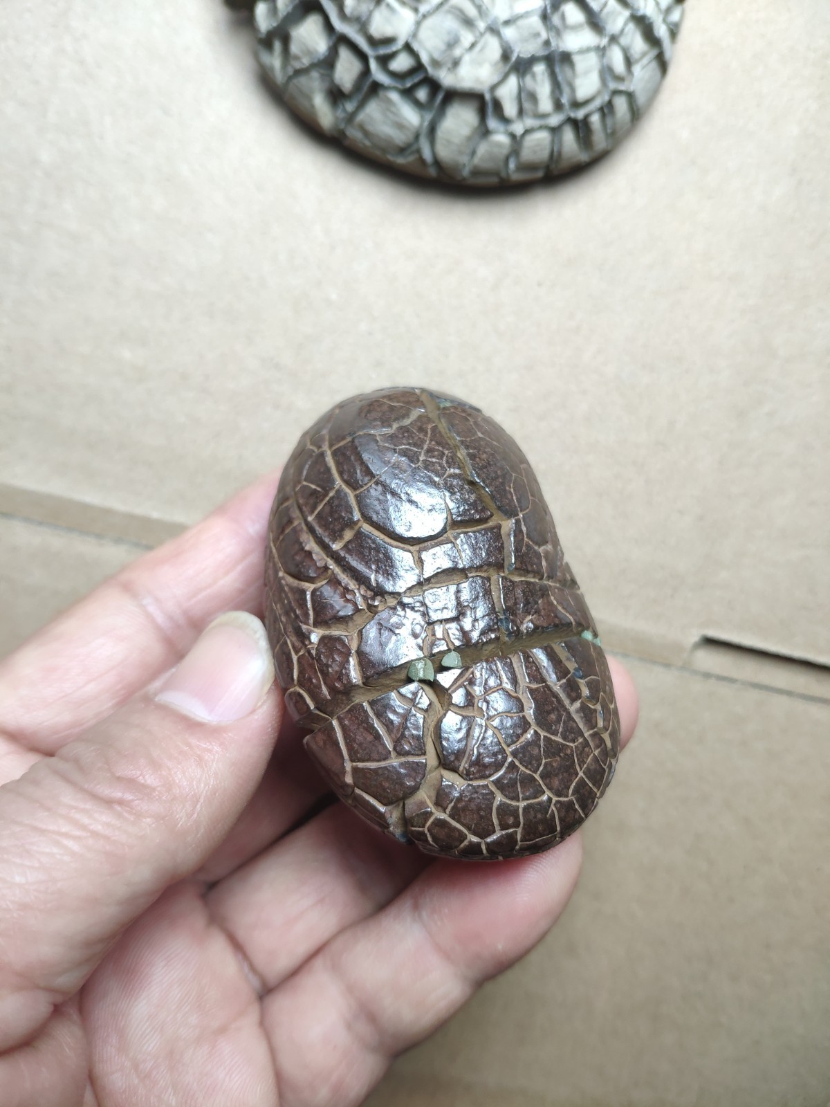 182g beautiful tortoise back pattern stone Turtle grain stone Landscape stone