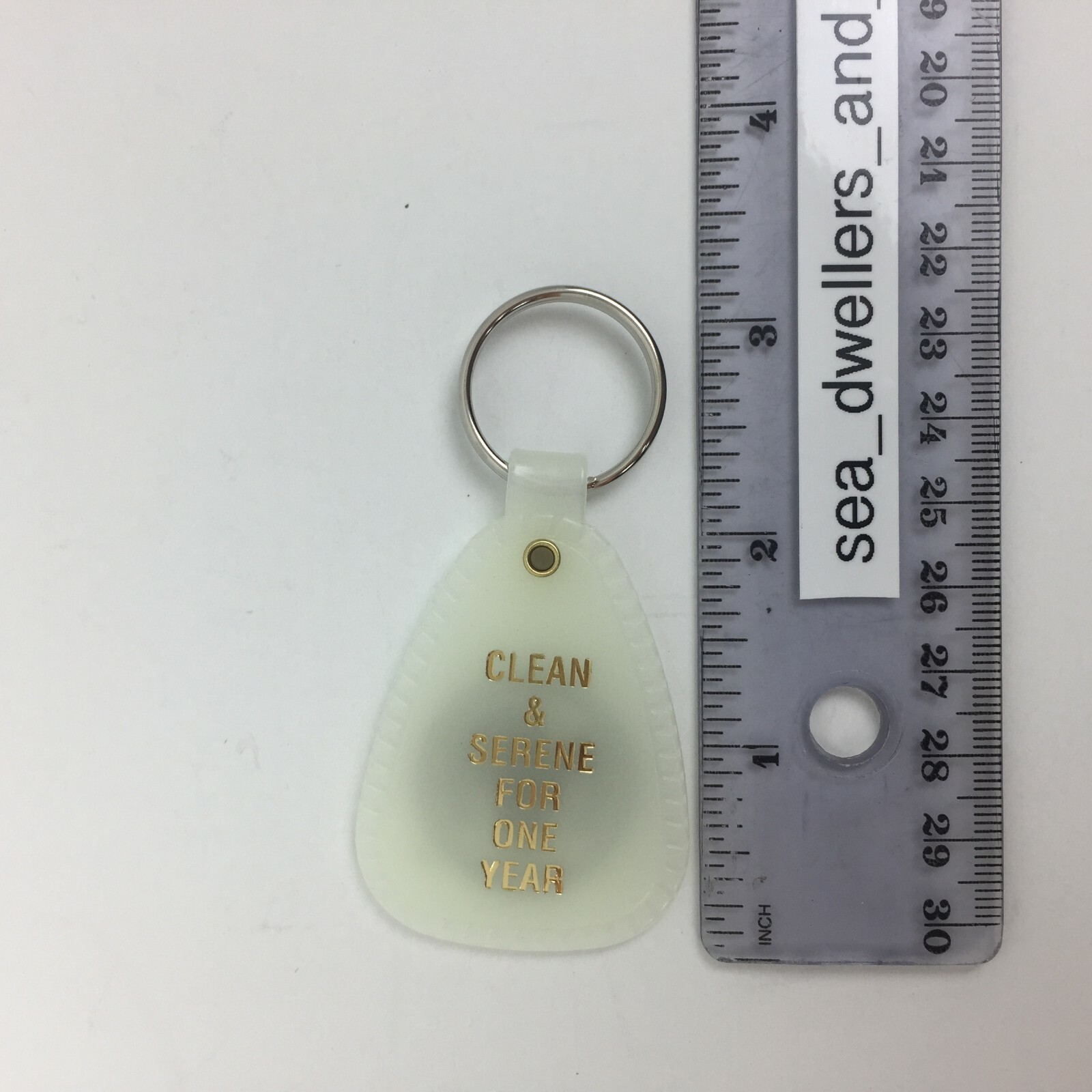 NARCOTICS ANONYMOUS NA KEY TAG MOONGLOW 1 Year Recovery 12 Piece English