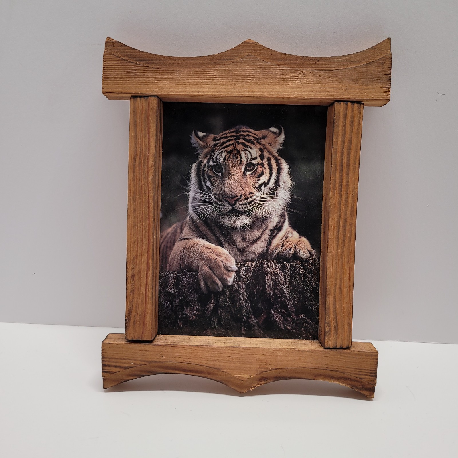 9.5×7.5″ Hand Carved Frame w/Tiger Picrure Wall Art 1872B17