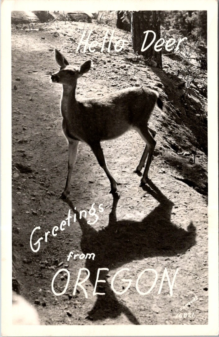 RPPC Oregon Hello Deer Fawn Greetings Sawyers Kodak photo postcard NP2
