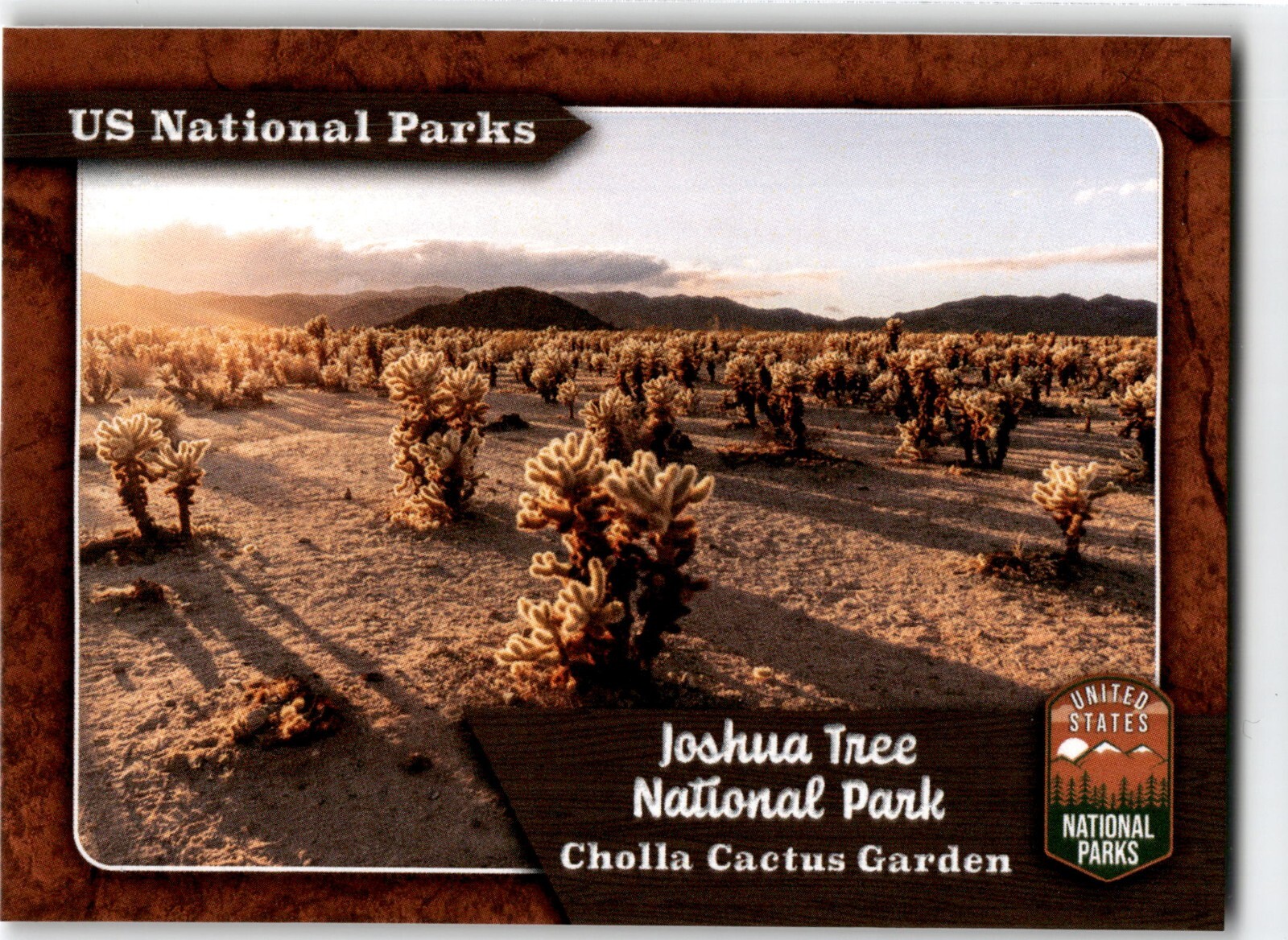 Fascinating Cards United States National Parks #135 Joshua Tree National Park