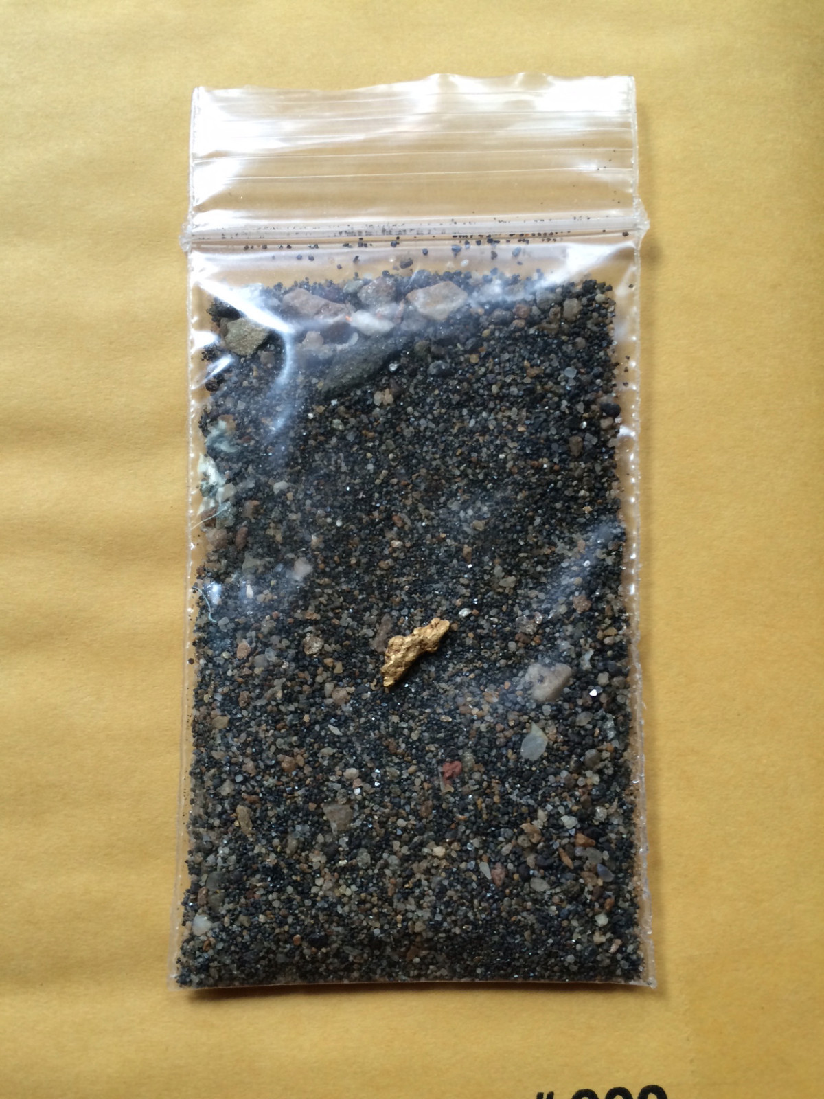 Buy our super Premium GOLD sluice paydirt concentrates 2 ounces!