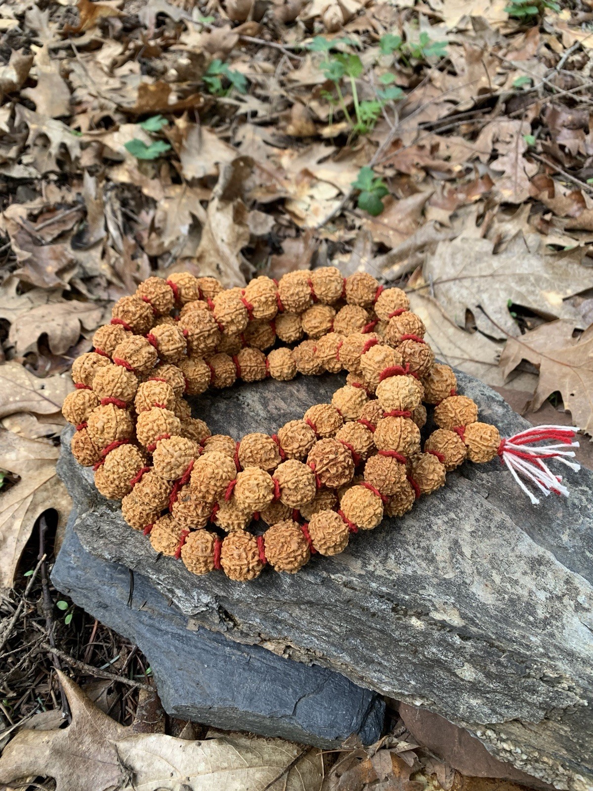 Himalaya Light Rudraksha Shiva Japa Mala 108 Seeds XL Size Handmade in Nepal