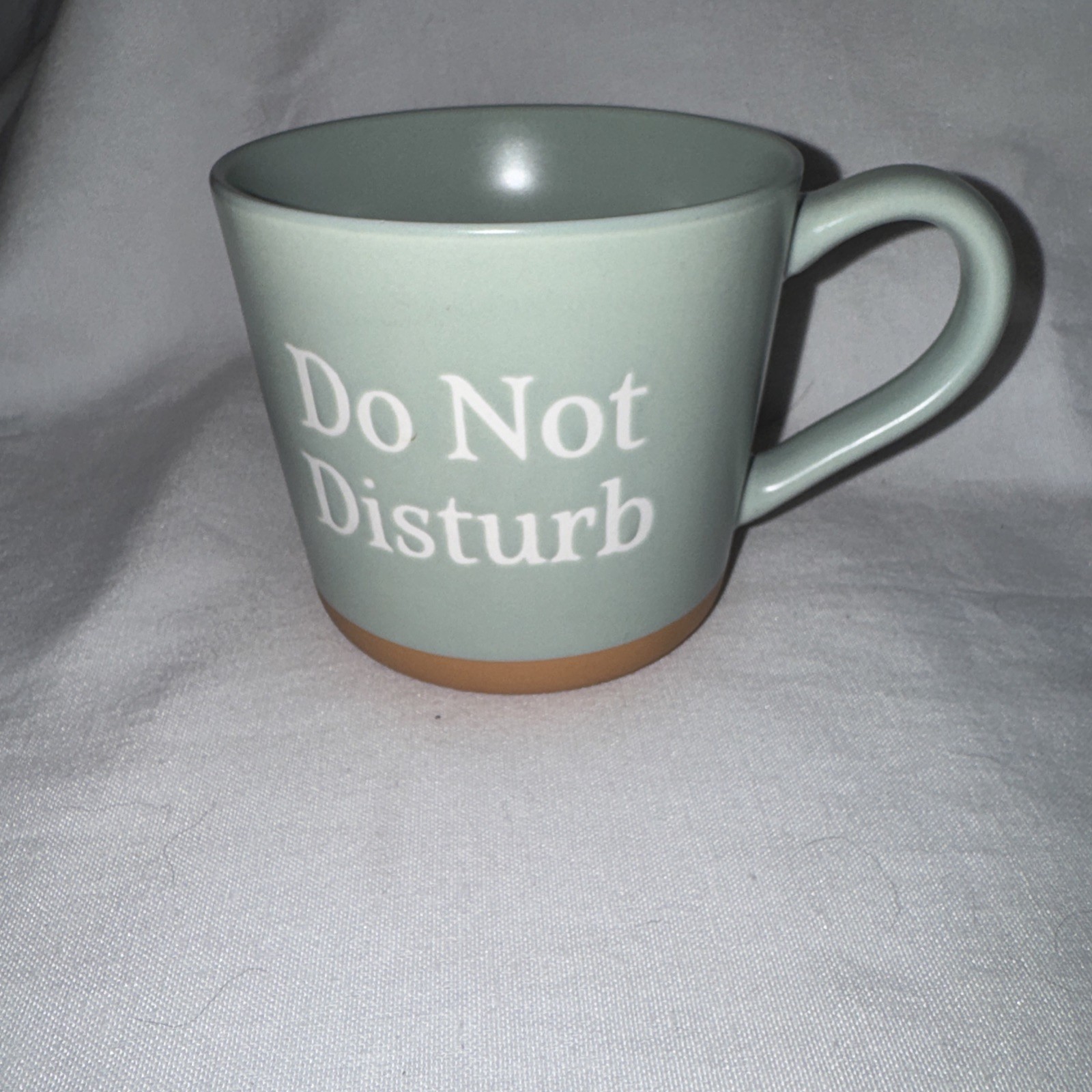 Threshold Stoneware ‘Do Not Disturb’ Mint & Tan Coffee Tea Mug Cup -16 oz- NEW