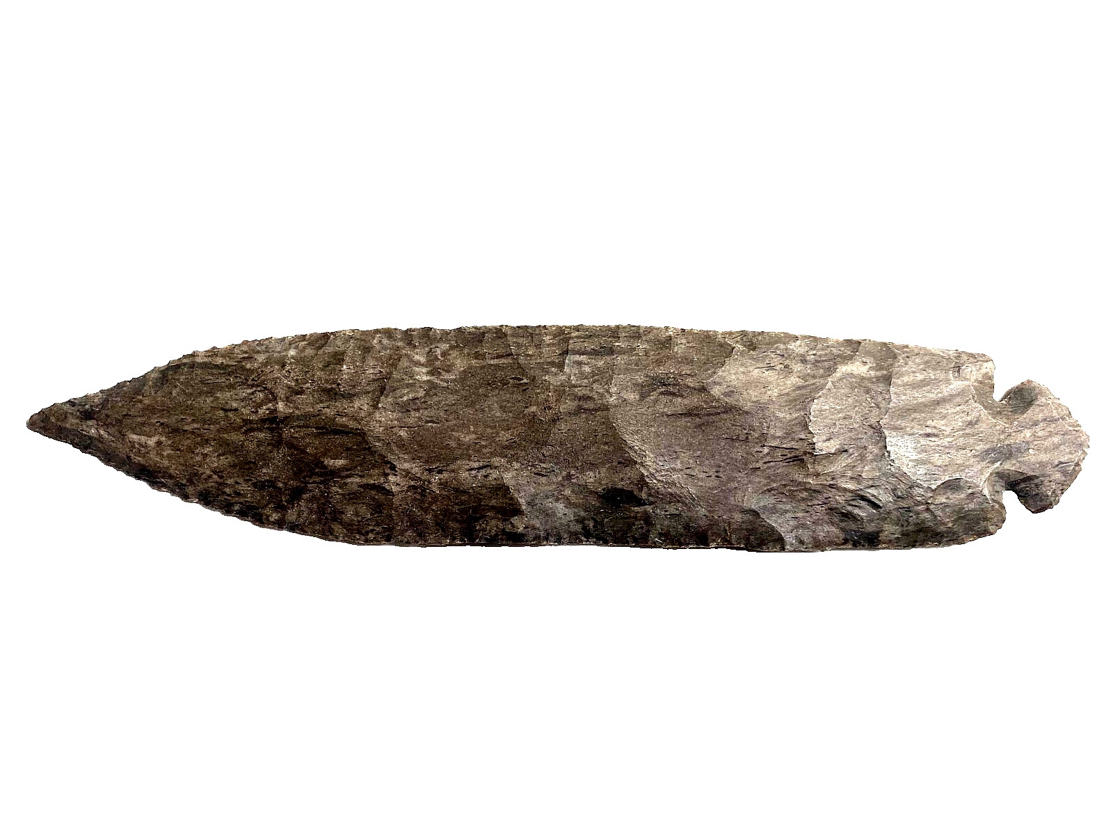Turkeytail Point from Midwest Native American Artifact Arrowhead 6 7/8 inch