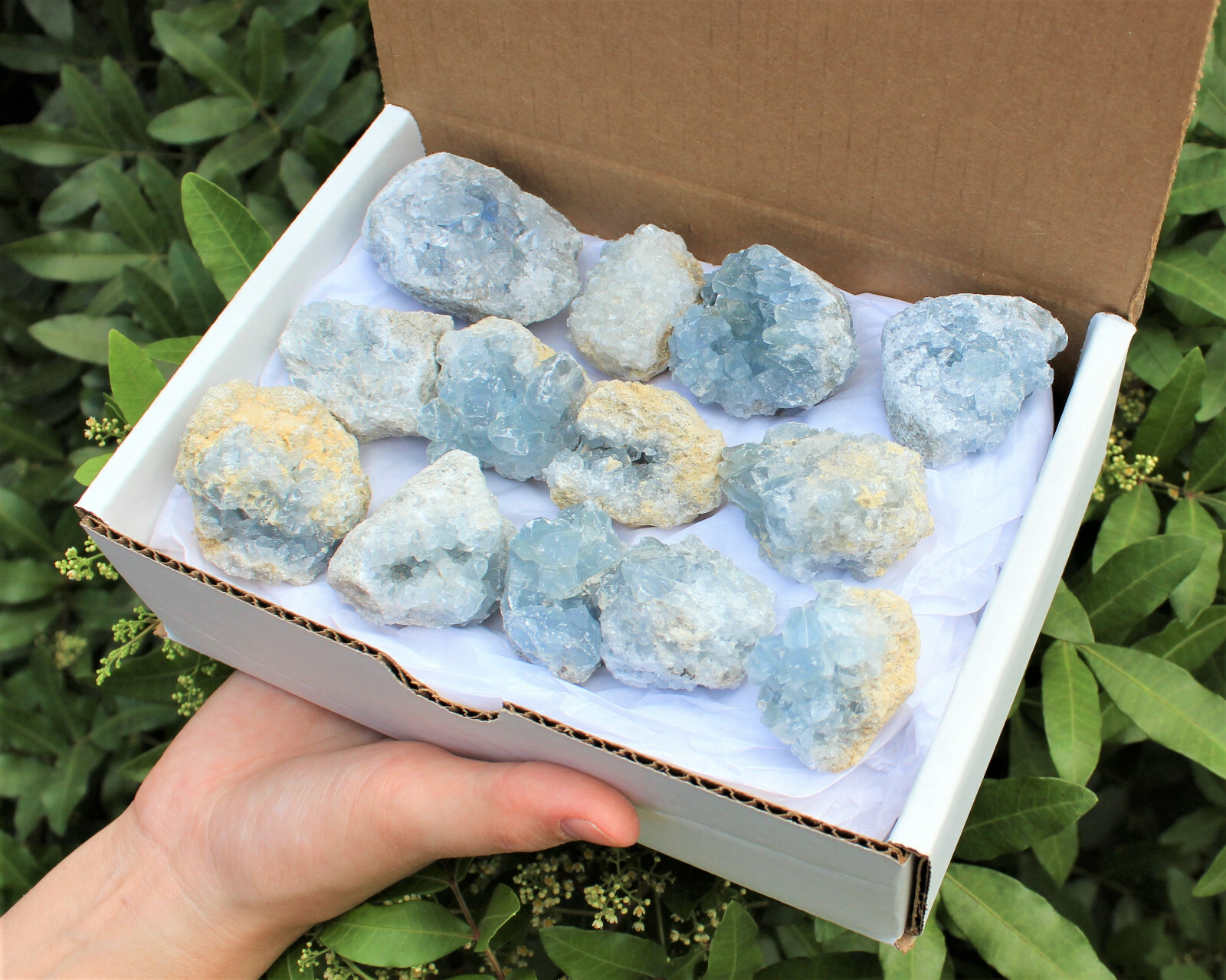 Natural Celestite Clusters – Wholesale Bulk ‘A’ Grade: 10-15 Piece Bulk Box Lot