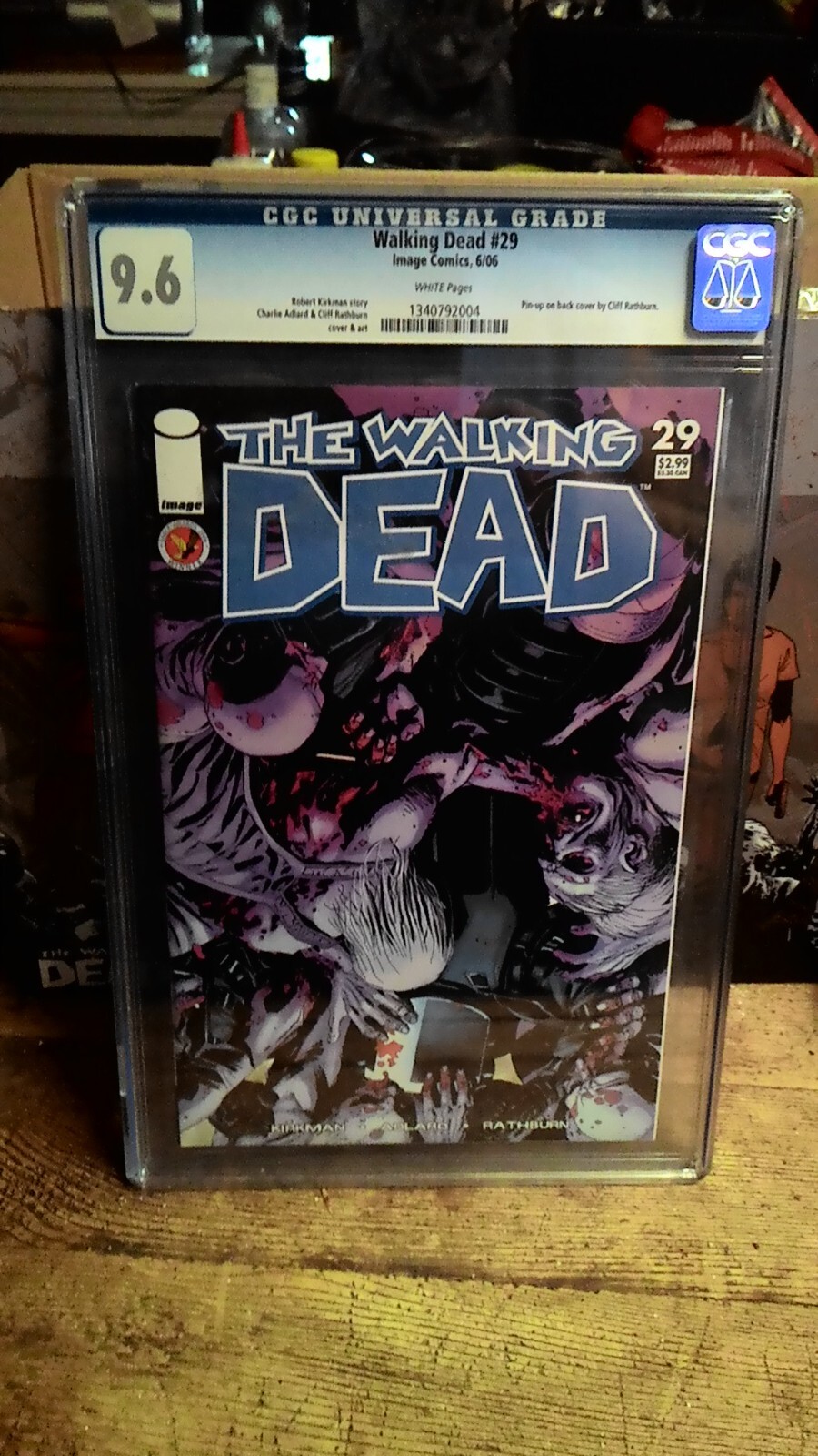 The Walking Dead #29 (Image Comics Malibu Comics June 2006) CGC 9.6