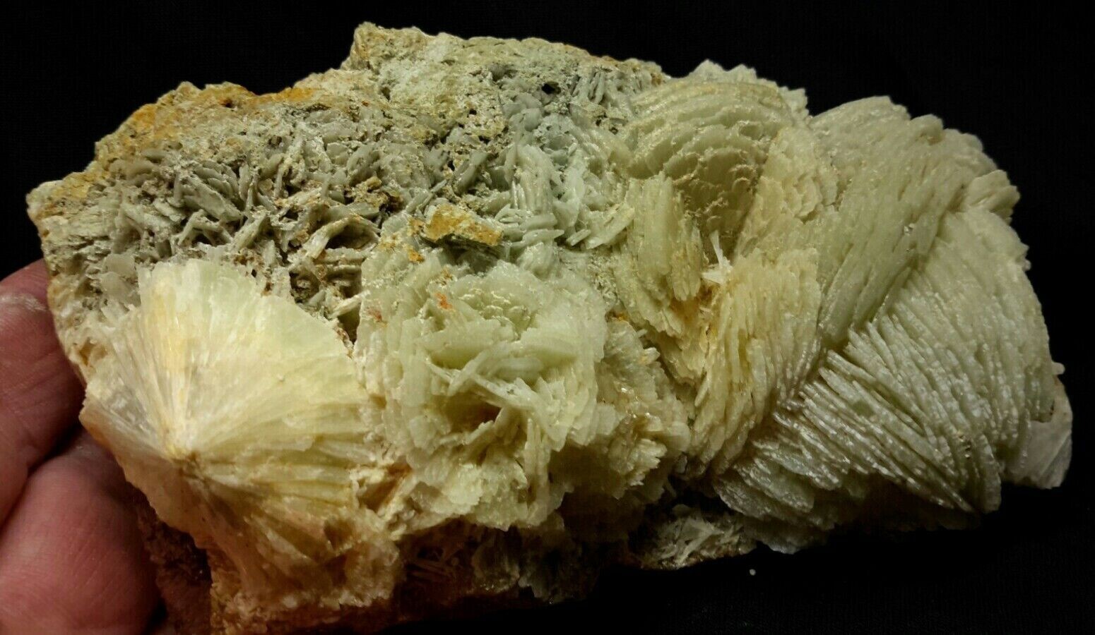 1.3 LB Natural 5″ PREHNITE from Imilchil, Morocco