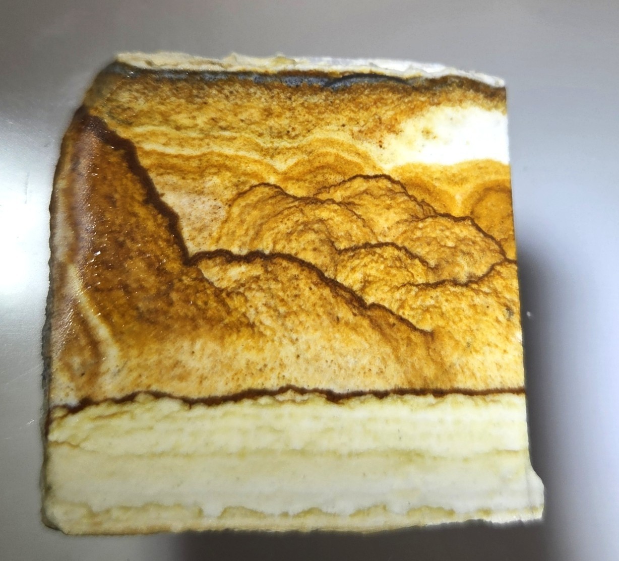 Chicken Track Picture Jasper Mini Slab Ready to Cab 25.0 grams SJP036