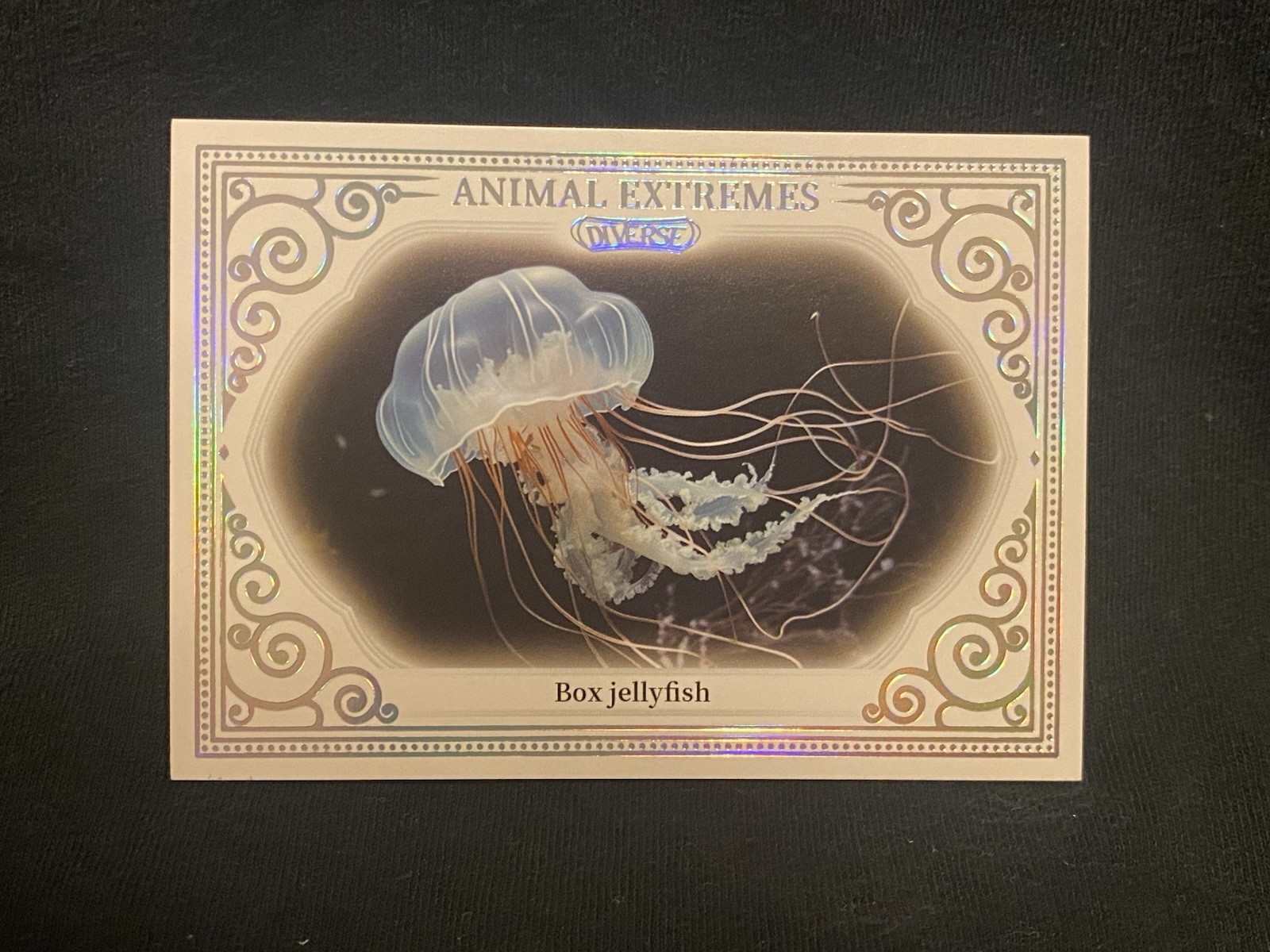 2024 Kakawow Diverse Season 1 Refractor Box Jellyfish DK-I-121