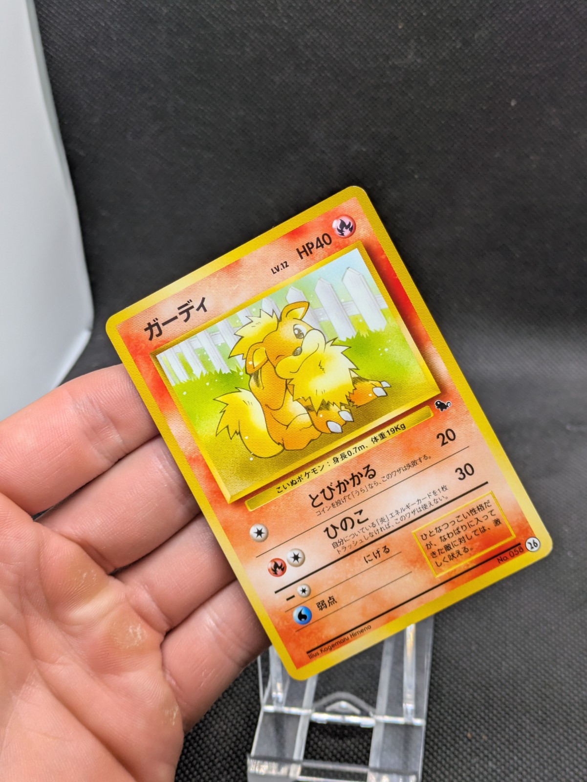 Growlithe Arcanine No.058 059 Intro Squirtle Deck Pokemon Japanese LP EXCELLENT