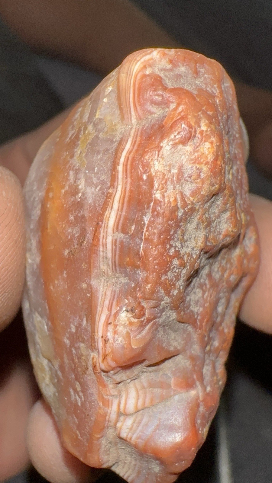 Lake Superior Agate Separate Float Faces Incredible Bands And Amazing Eye Clean