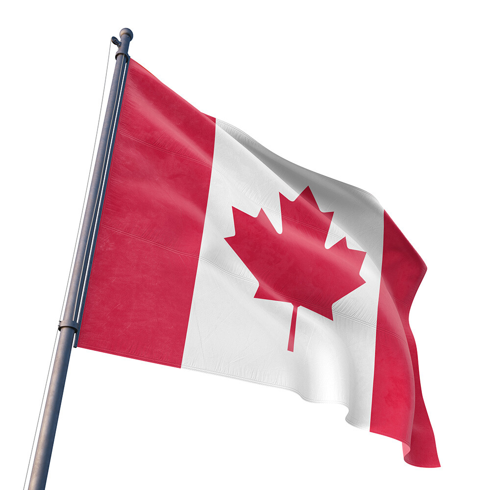 3×5 Feet Canada Flag Indoor Outdoor Canadian Banner Polyester National Flags New