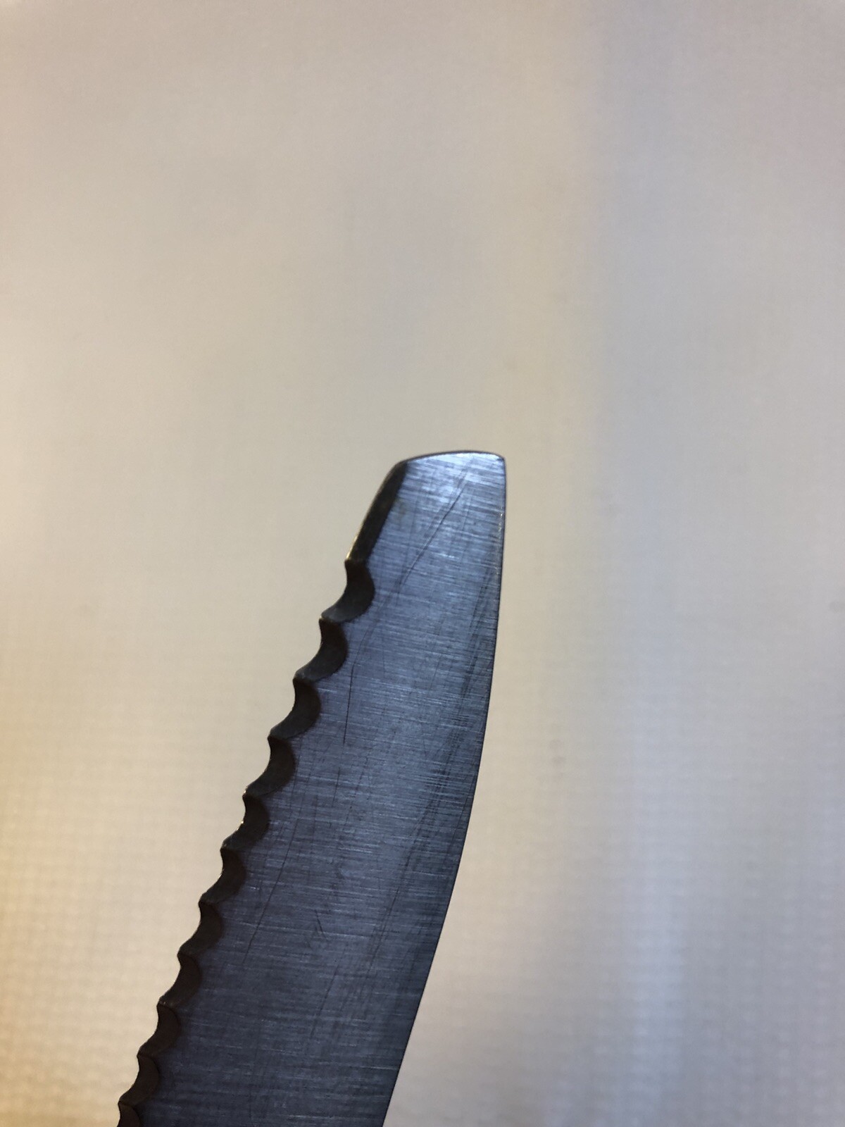 7” Blade Serrated Sabatier Prosteel Meat Craving Chef Cook Steak Knives Kitchen