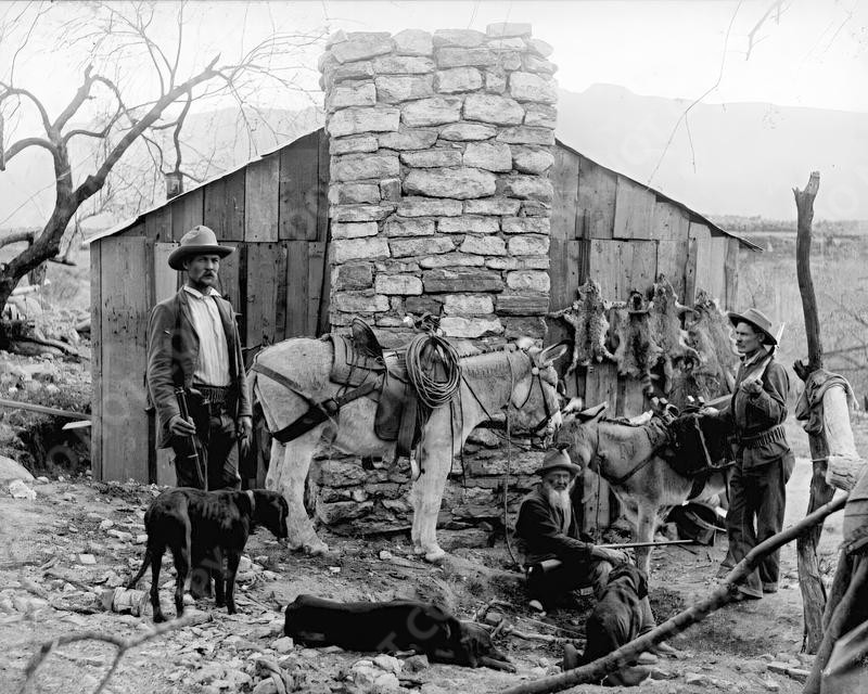 1900s Cowboys Coon Hunting in Arizona Old West Historic 8×10 Vintage Photo Print