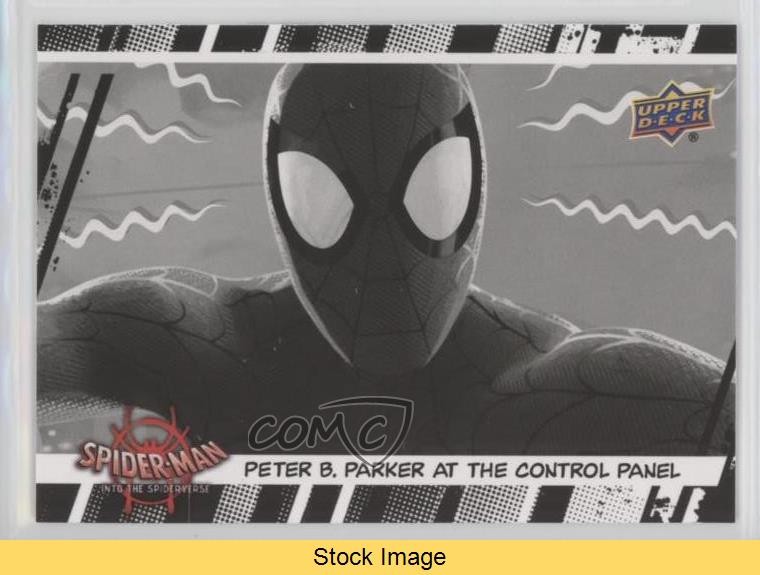2022 Marvel Spider-Man: Into the Spider-Verse Spider PI Spider-Man #75 READ kr0