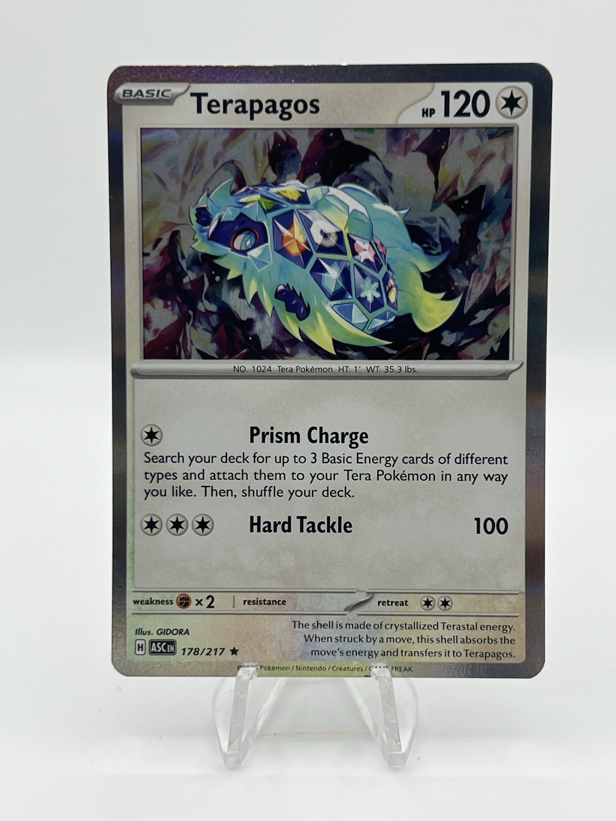 Terapagos 178 Holo Ascended Heroes Pokemon NM