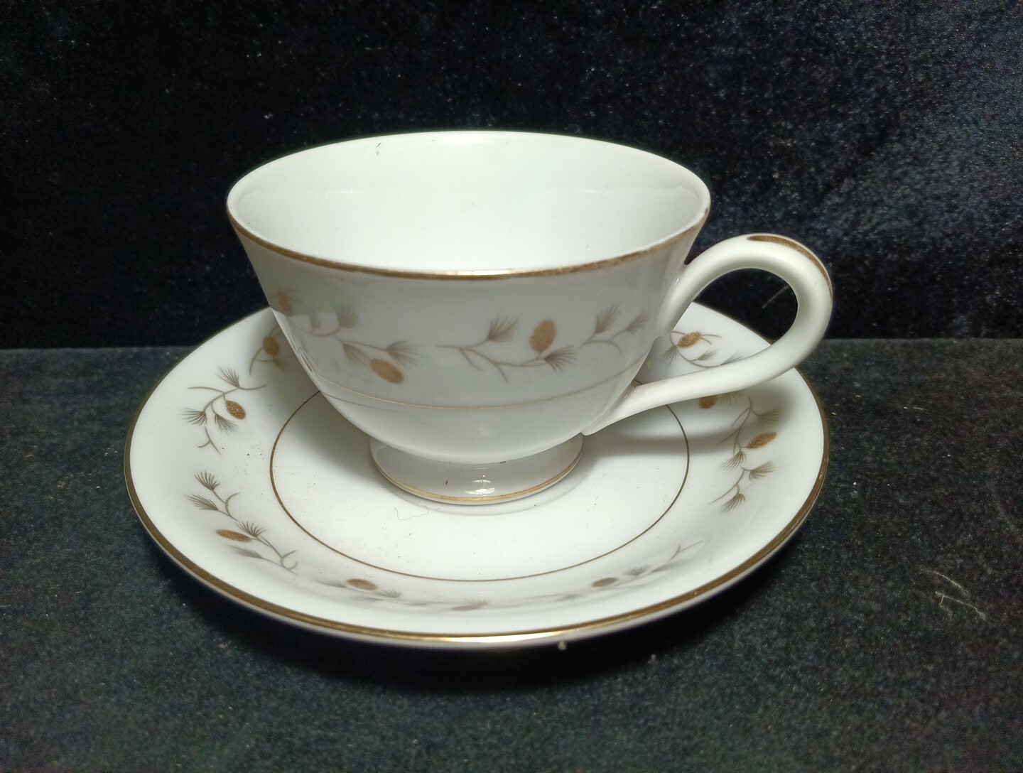 Royal Cameo Whispering Pine Cup & Saucer Set of 6