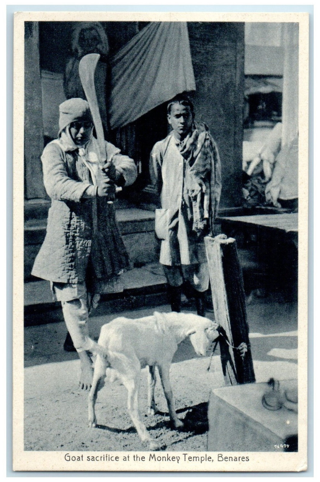 c1940’s Goat Sacrifice at Monkey Temple Varanasi Uttar Pradesh India Postcard