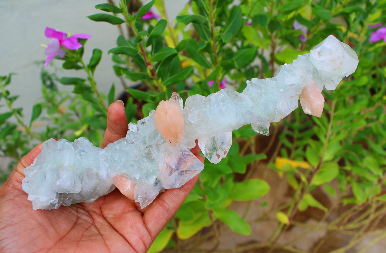 Apophyllite Crystals w/ Stilbite Stalactites Minerals Specimen ( 20X11 ) REPAIR